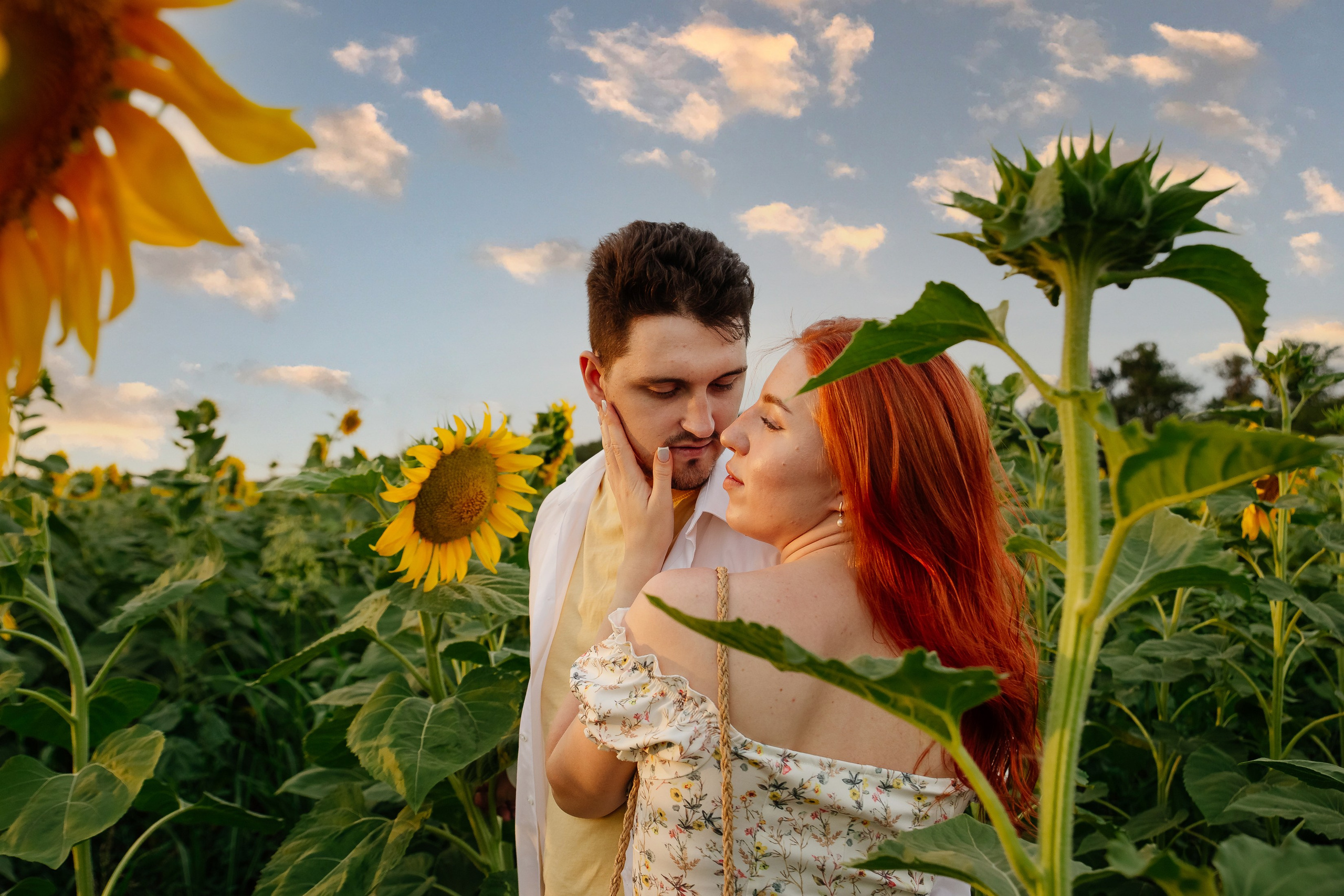 Подсолнухи. Свадебный и семейный фотограф в Краснодаре Илонна Ковалева