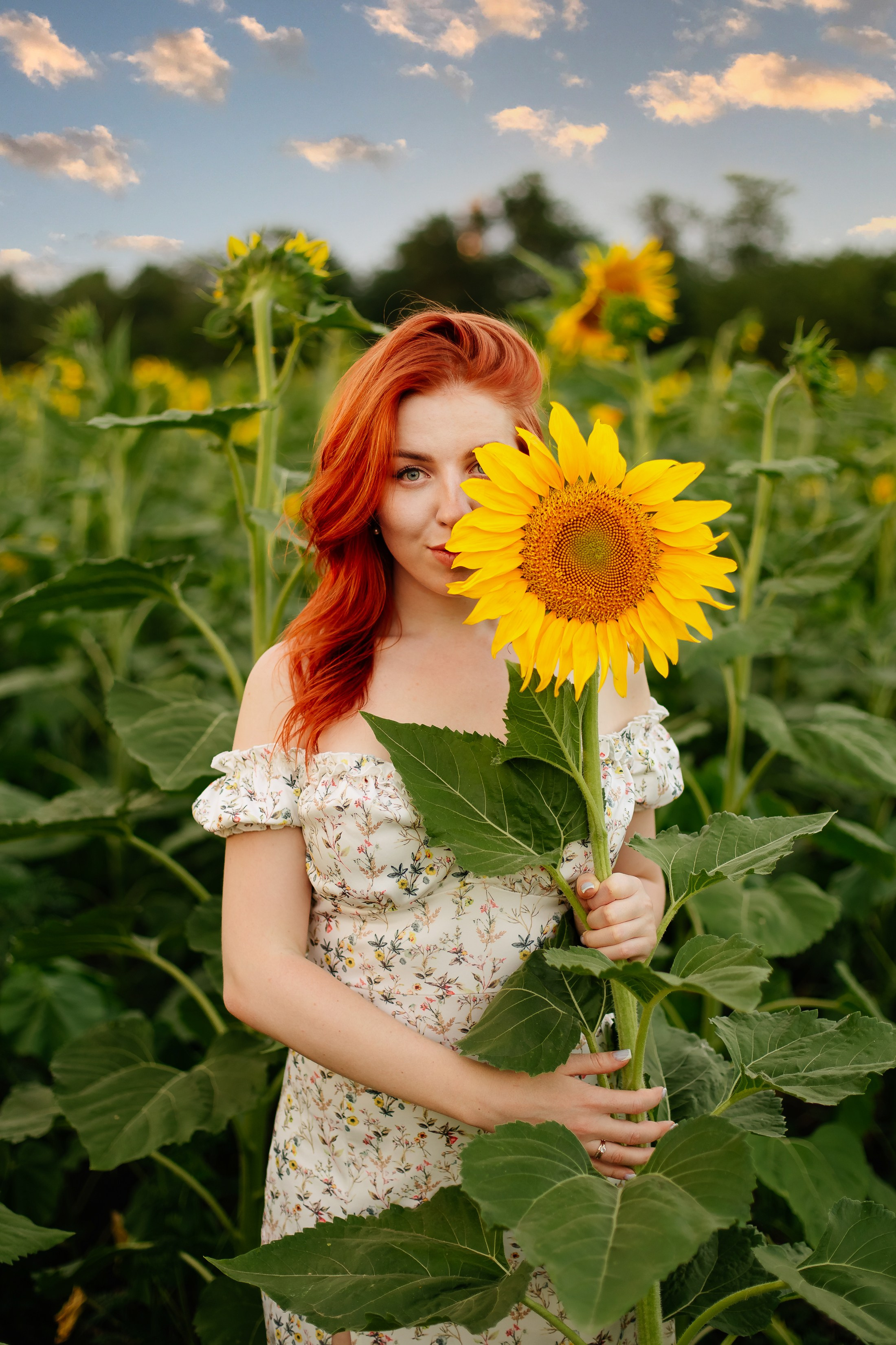 Подсолнухи. Свадебный и семейный фотограф в Краснодаре Илонна Ковалева