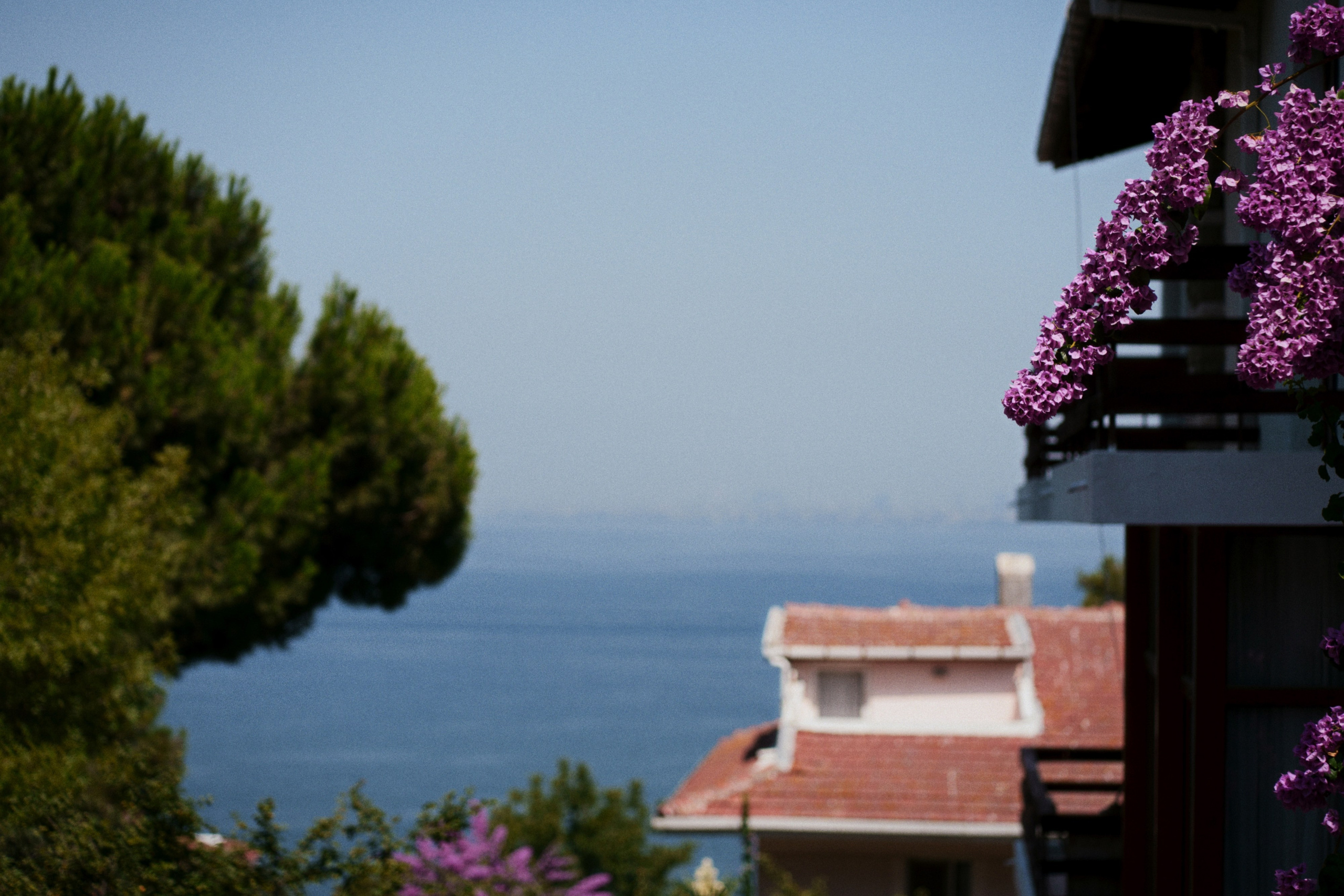 Büyükada х Heybeliada, Istanbul / Türkey SS25. Фотограф Юрин Евгений