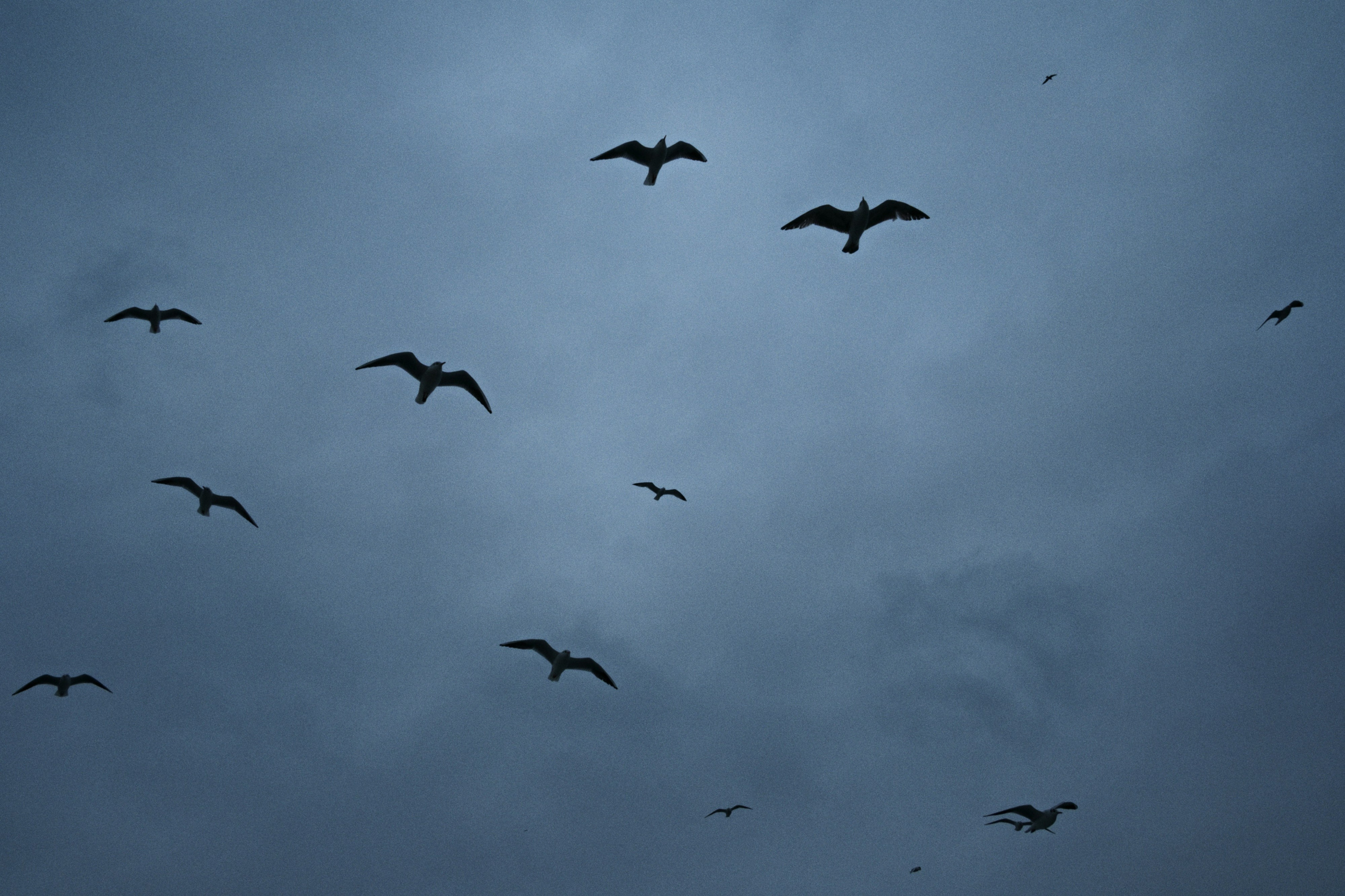 Kadikoy x Moda, Istanbul / Türkey AW26. Фотограф Юрин Евгений