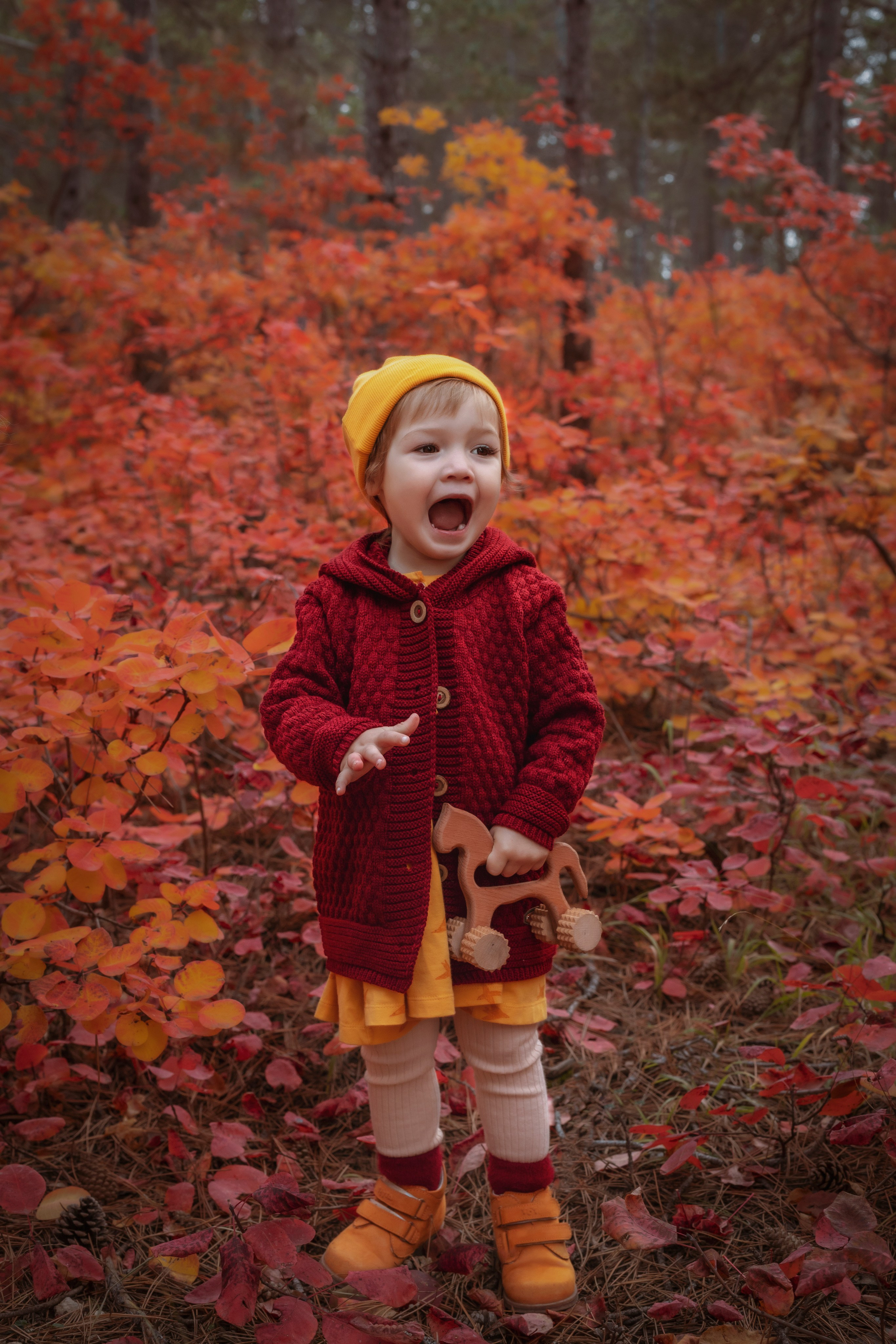 ОСЕННИЙ ЛЕС. Семейный и детский фотограф в Крыму Екатерина Швец