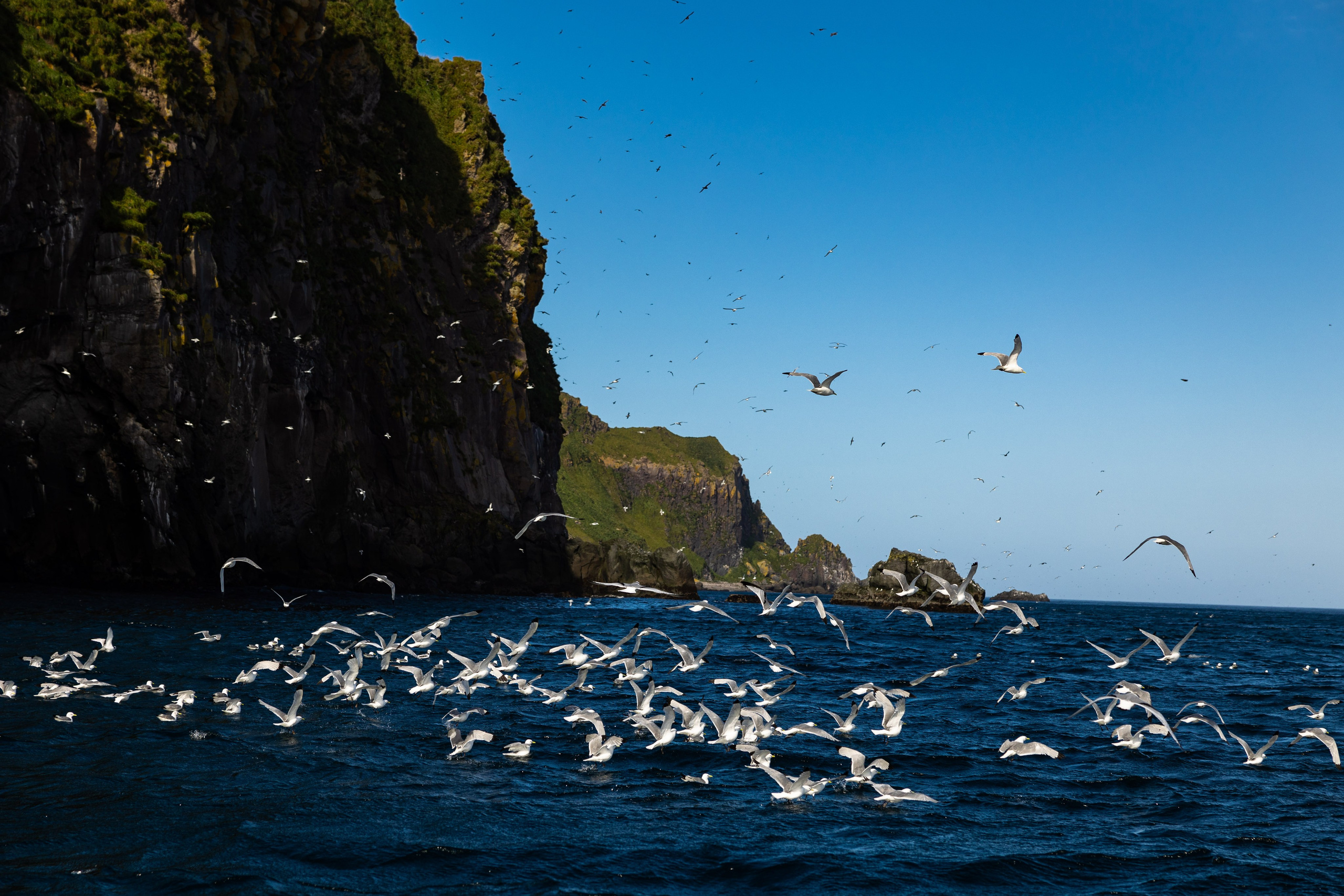 Экспедиция по Северным Курильским островам с Vasta. Фотограф Красная Поляна — Сочи — Москва