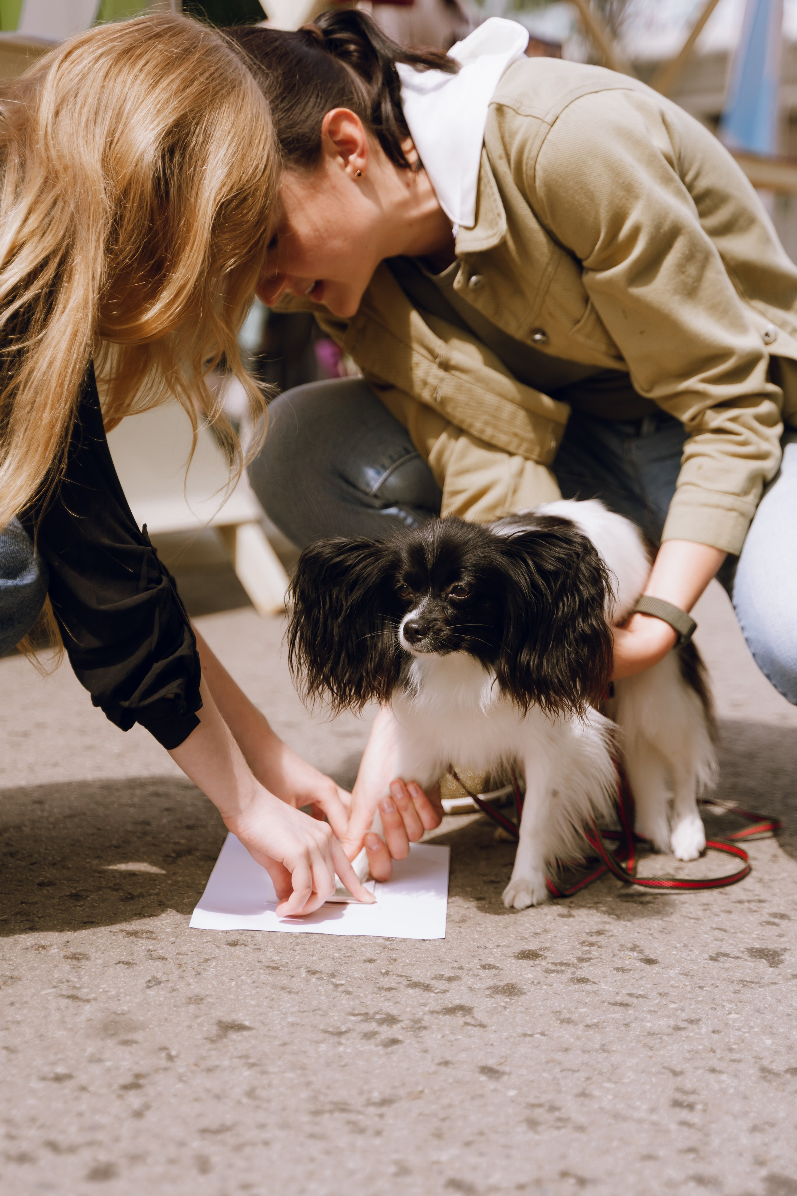 Площадка фестиваля «Мампус и его друзья» в Лесопарке 2025. Фотограф Надежда Погребняк | Рязань | Москва