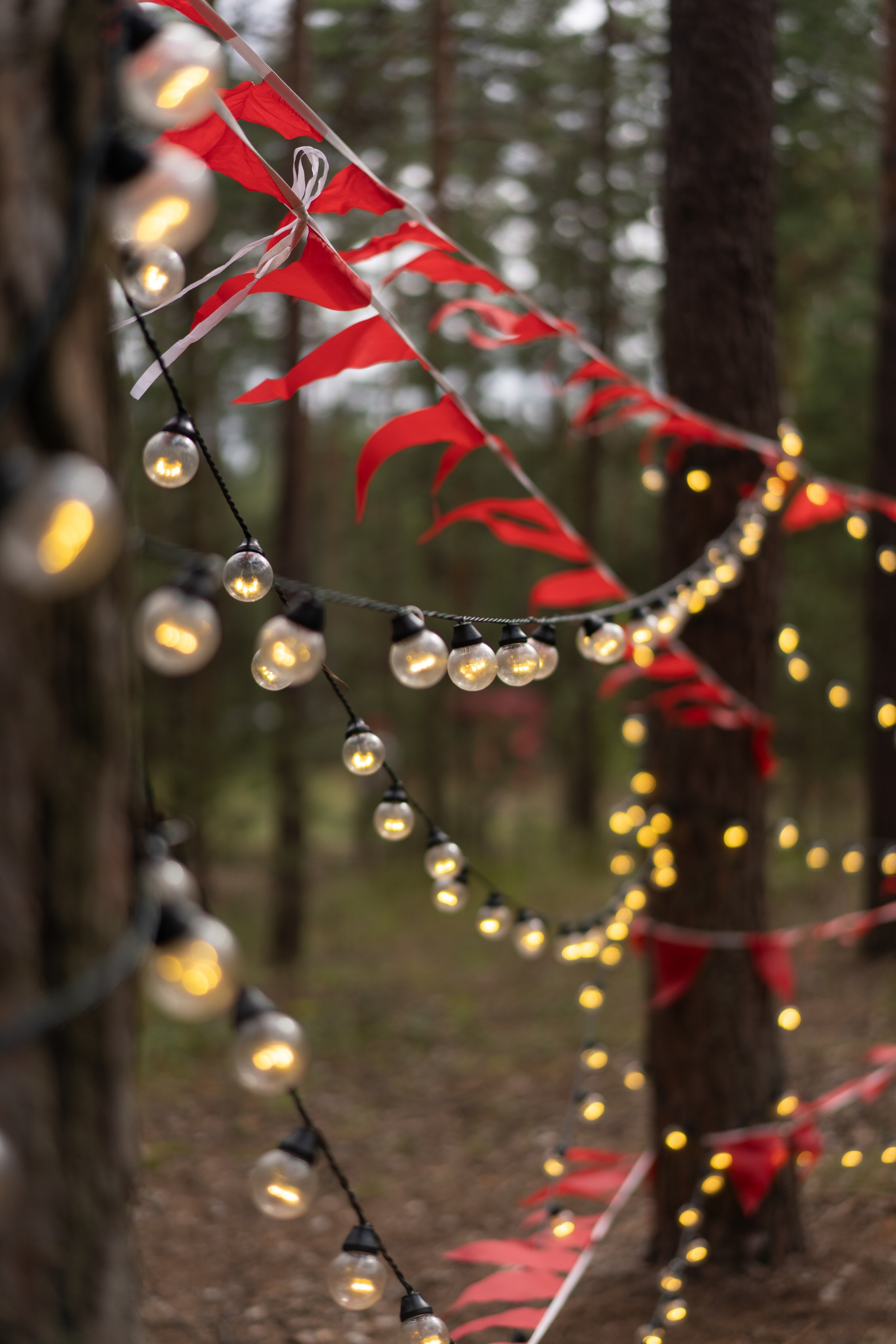 Палаточный форум CAMPot 2025. Фотограф Надежда Погребняк | Рязань | Москва