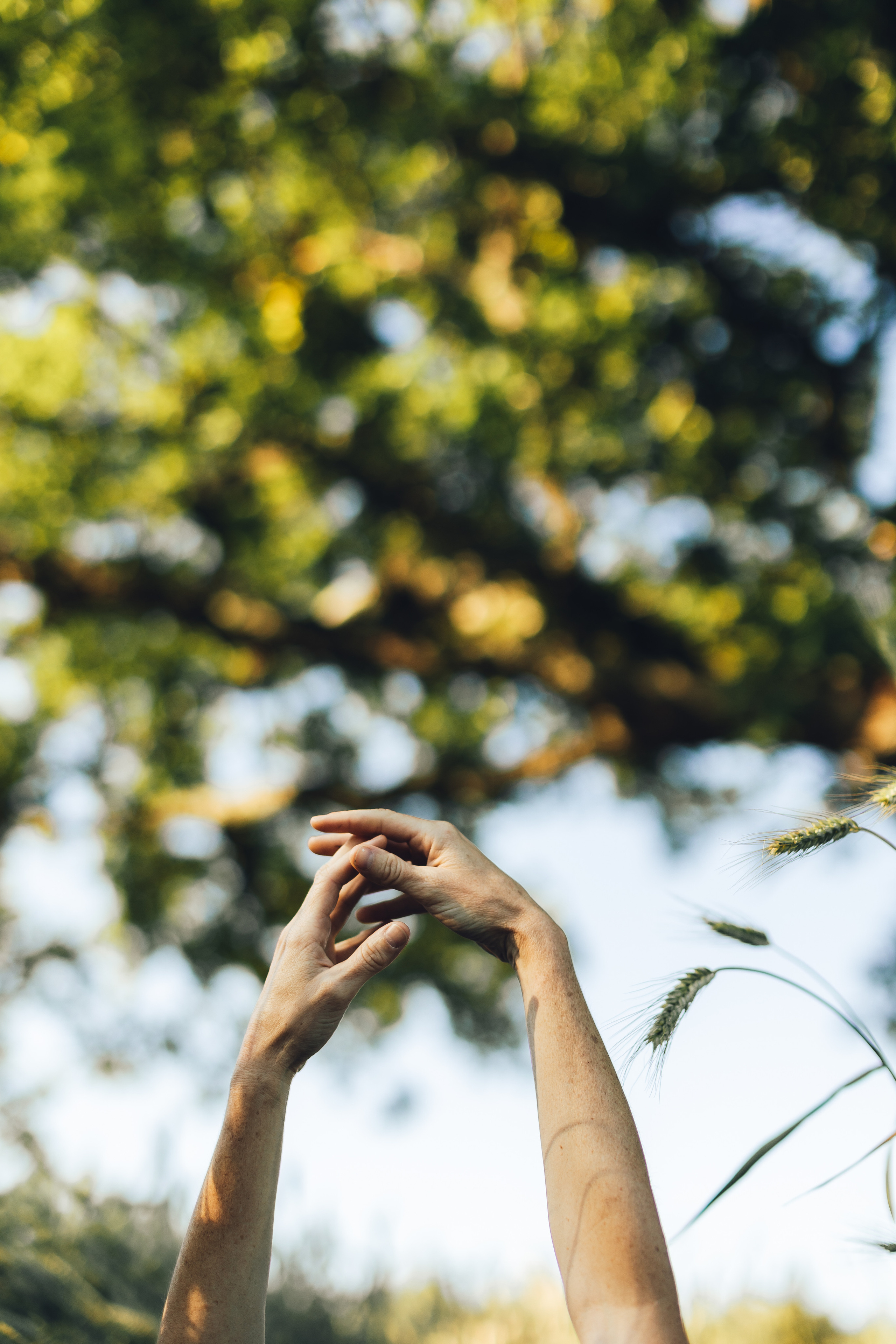 Светлана на рассвете солнца. Портретный фотограф в Минске Анна Волейко