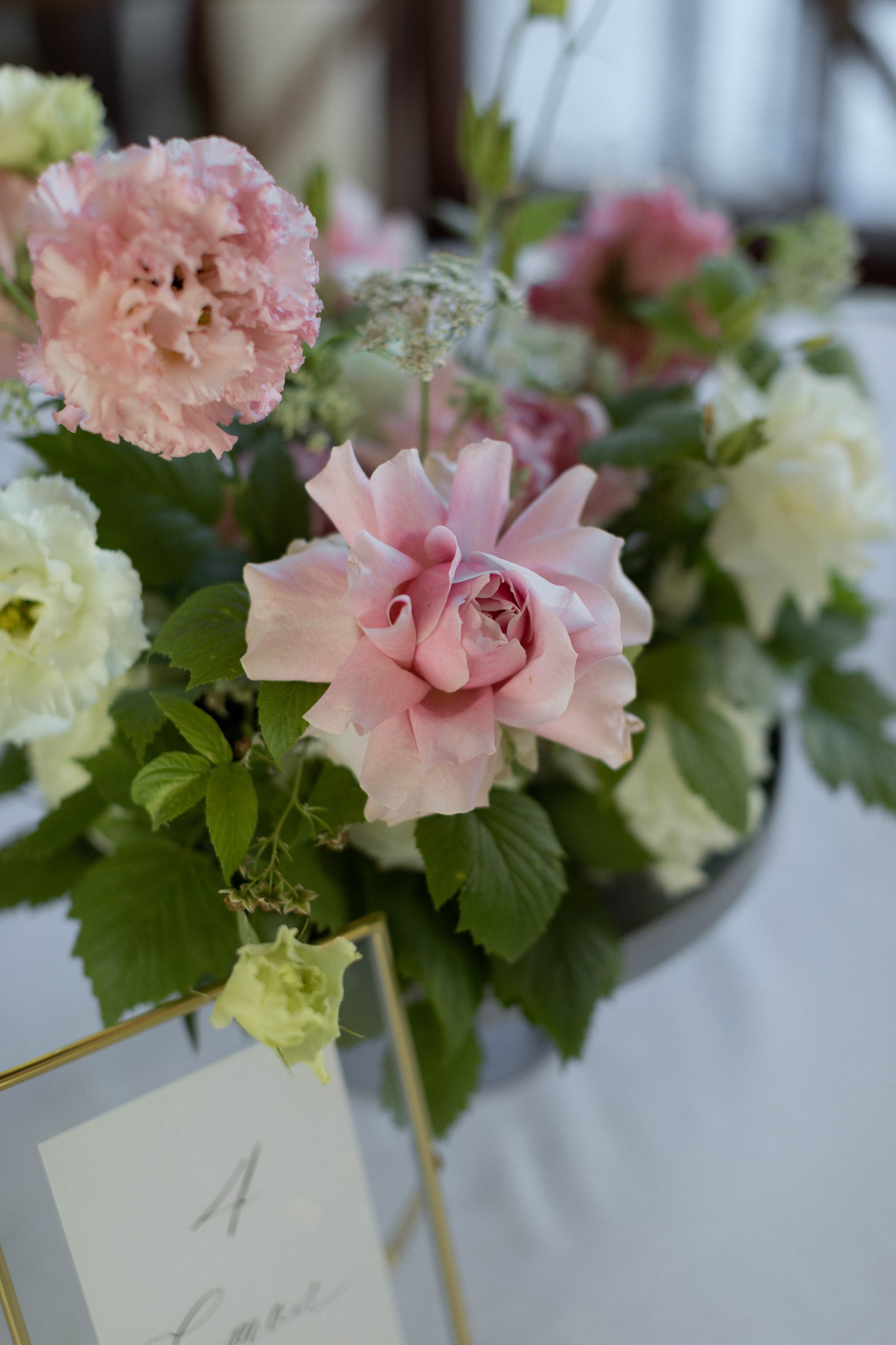 Марина | Владимир