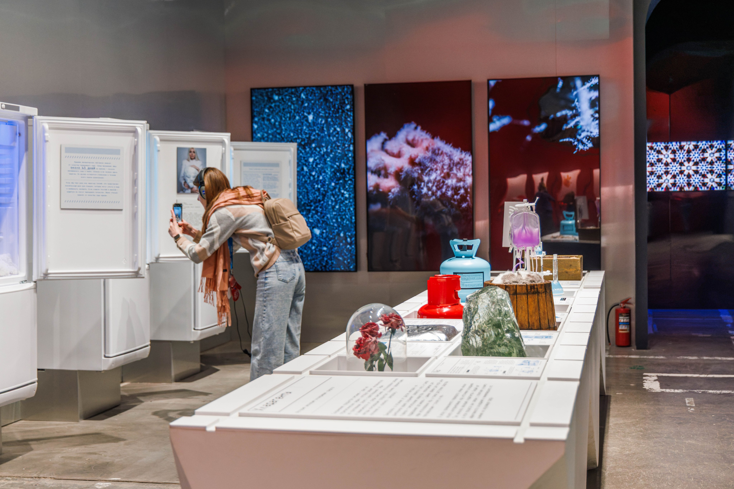 Лед. Жизнь — познавательно-развлекательная выставка. Фотограф Балаев Михаил