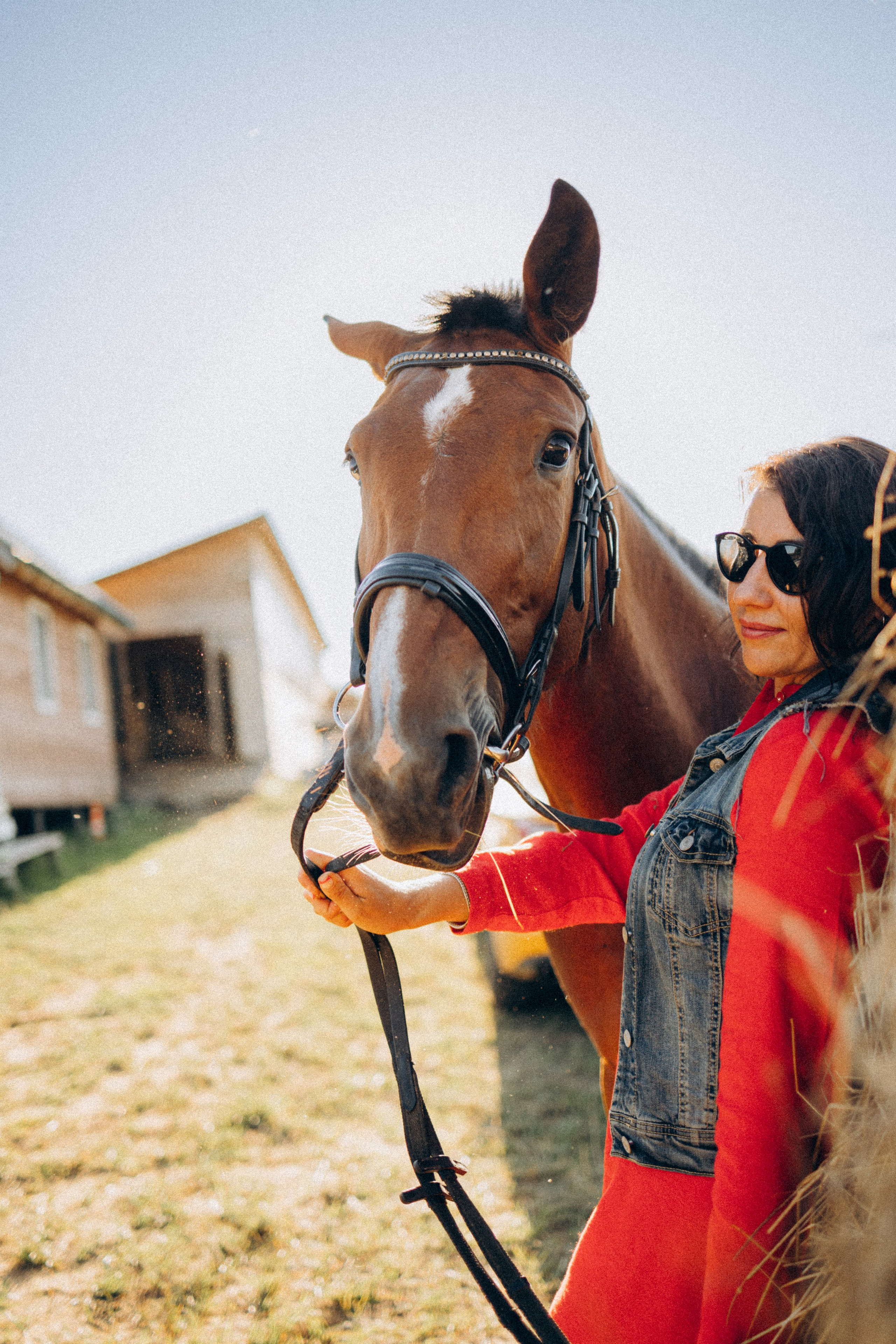 А в деревни лошади. Фотограф Москва Светлана Кирюшина