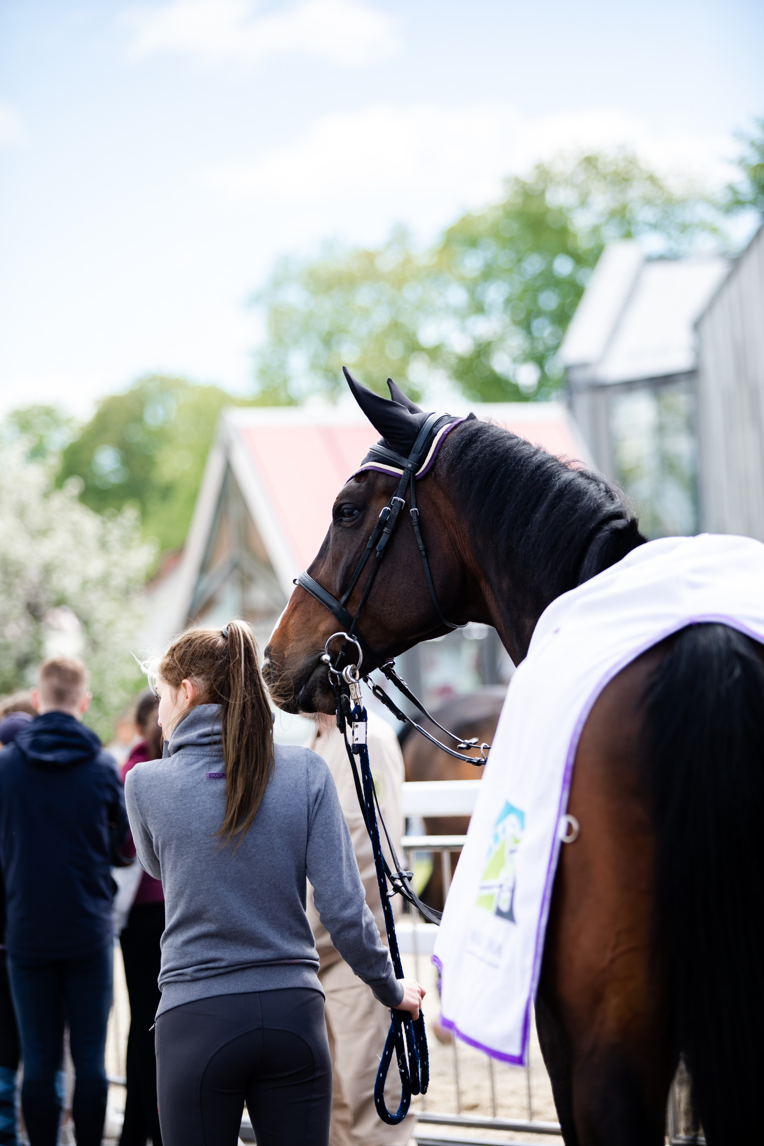 Турниры. Veronika Makeeva horse photo