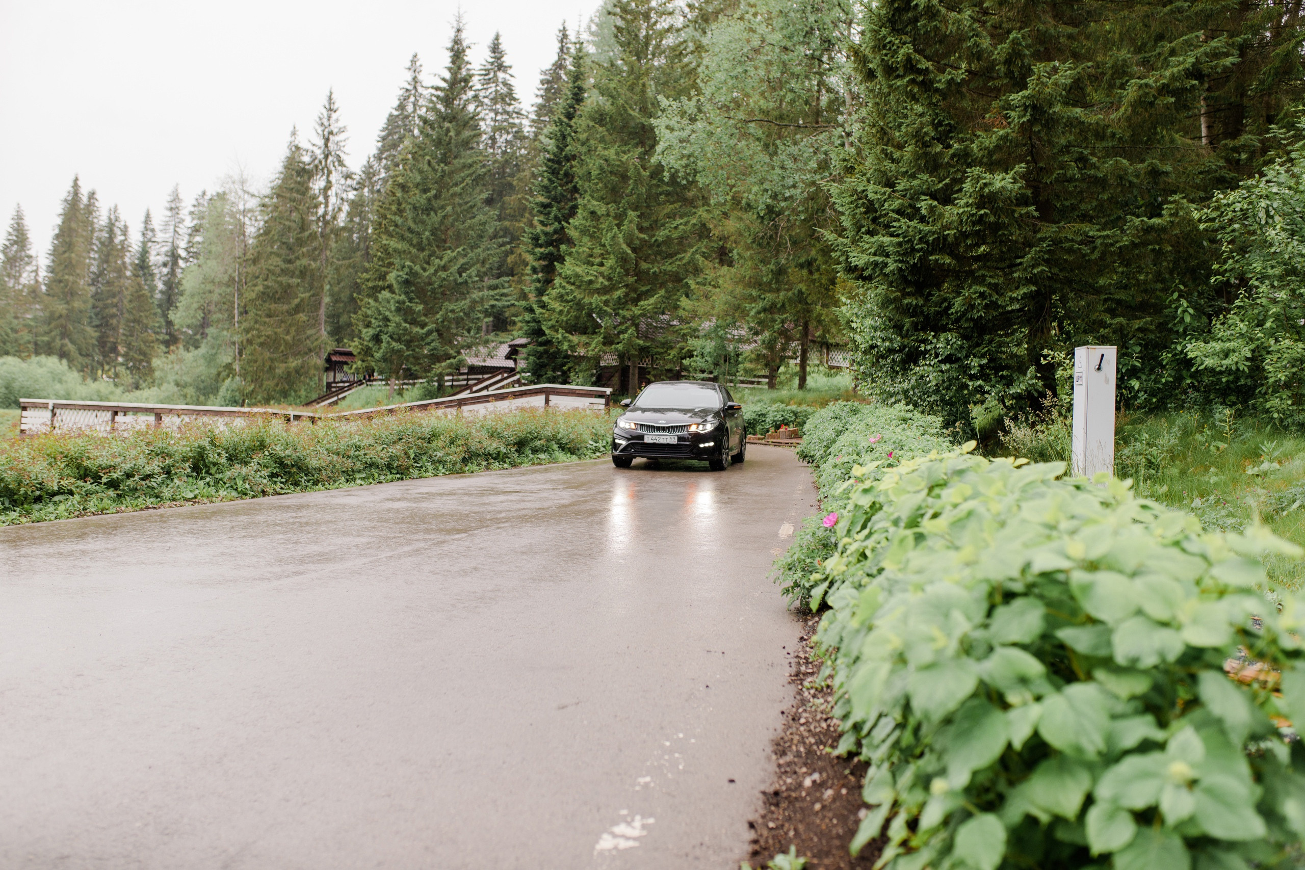 Егор&Таня. Свадебный и семейный фотограф в Перми Дергачева Кристина
