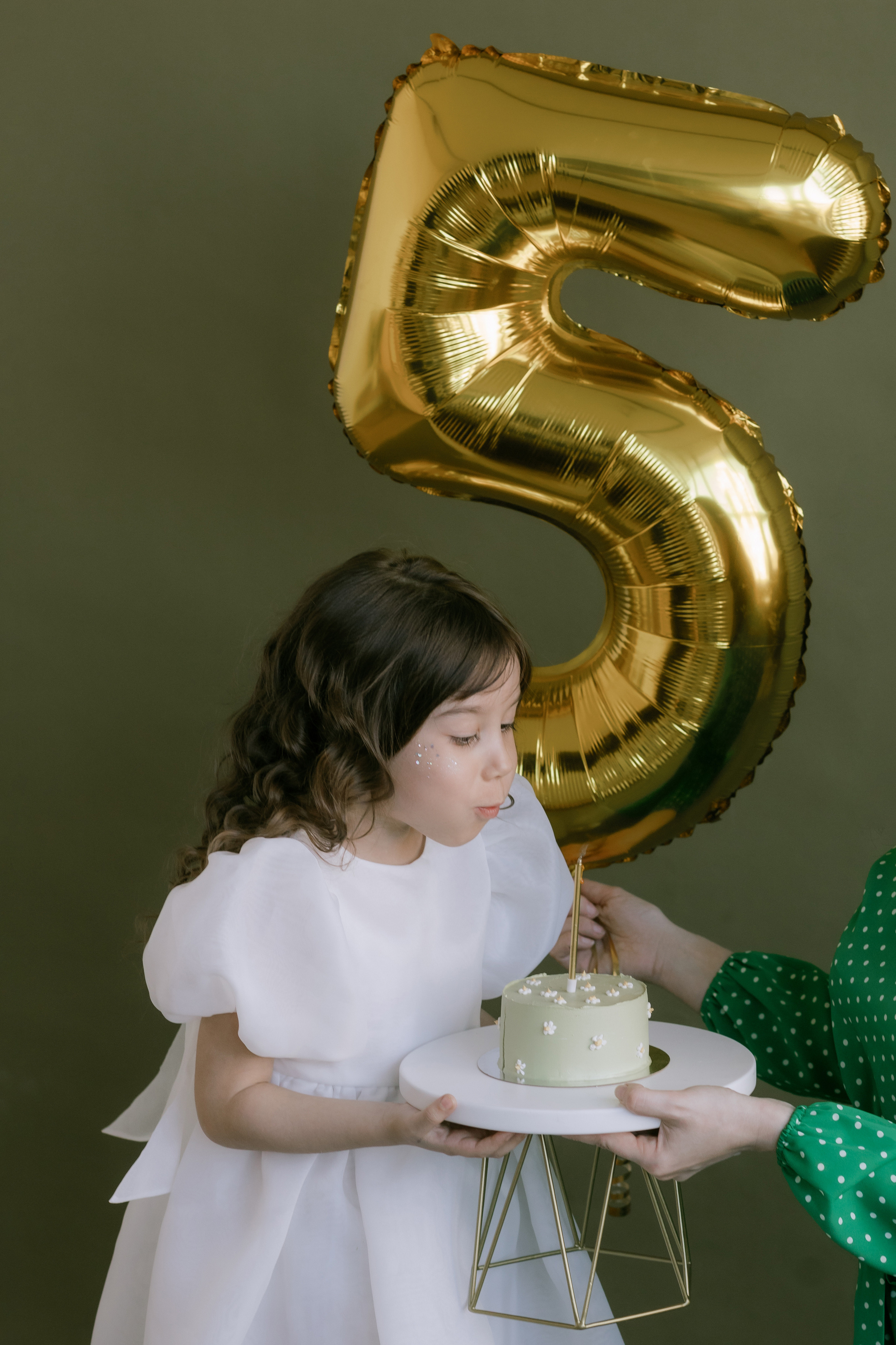 5-летие Эвелины. Свадебный и семейный фотограф в Перми Дергачева Кристина