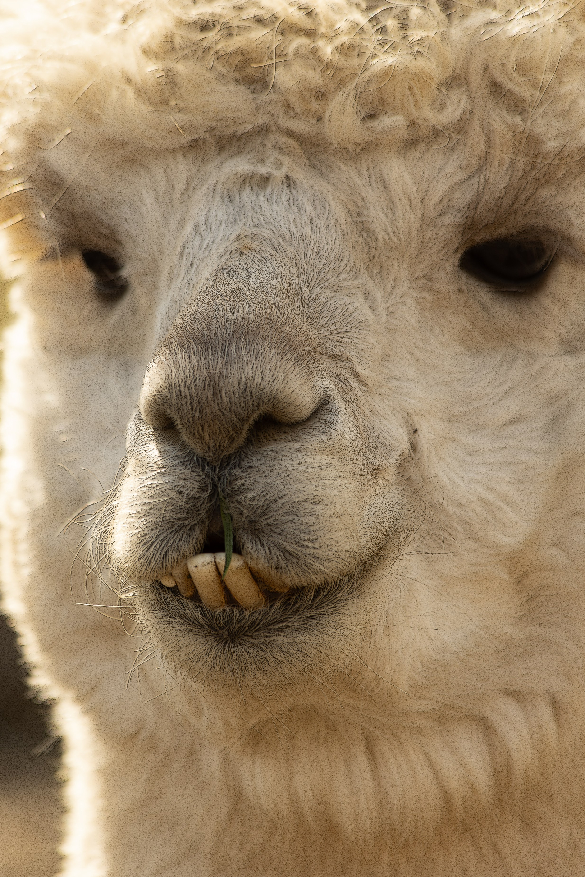 Unforgettable Caucasus (in progress). Art Рhotographer Russia/Moscow
