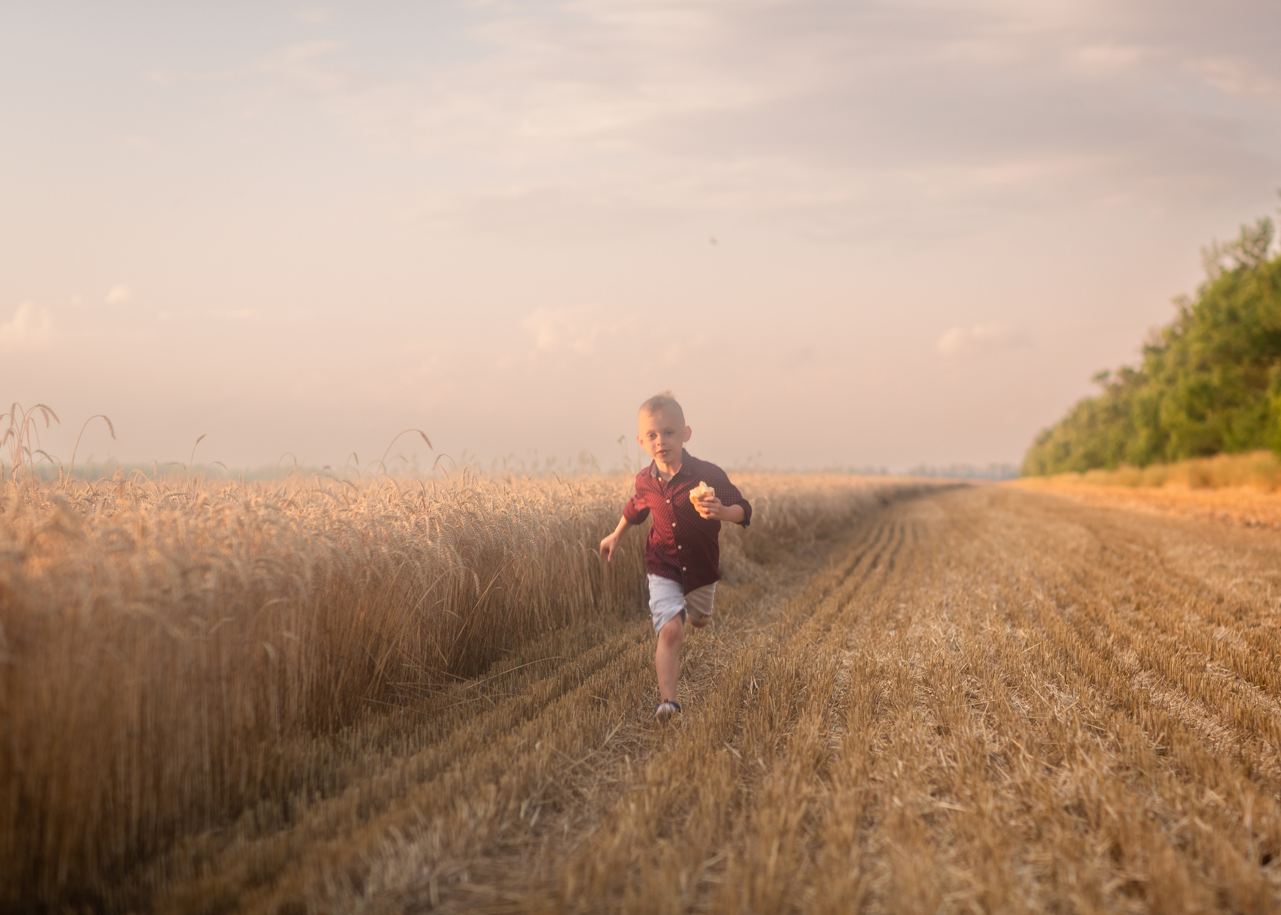 Закат в пшеничном поле. Фотограф в Приморско-Ахтарске Марьяна Чопко
