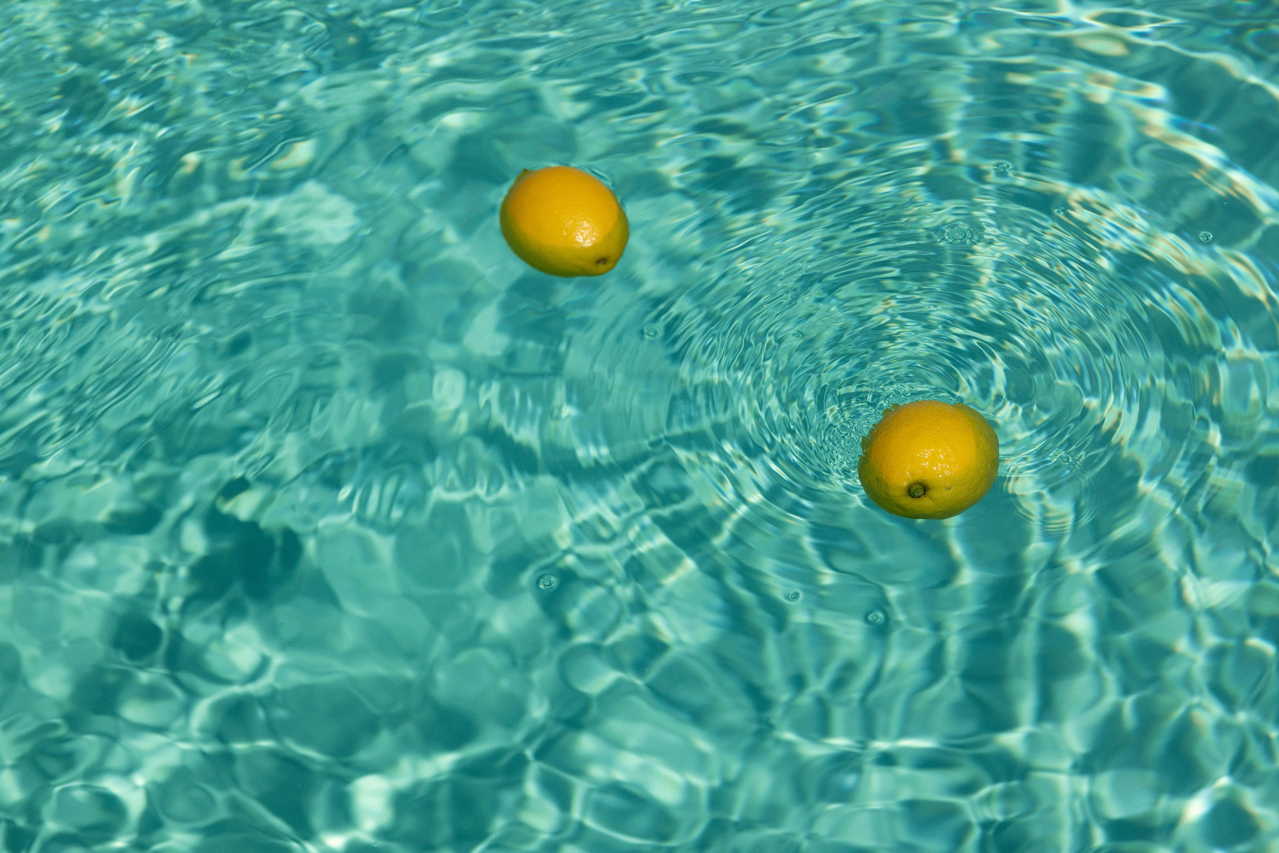 Вадим и Ксения. Свадебный и семейный фотограф в Анапе/Новороссийске Виктория Чайка