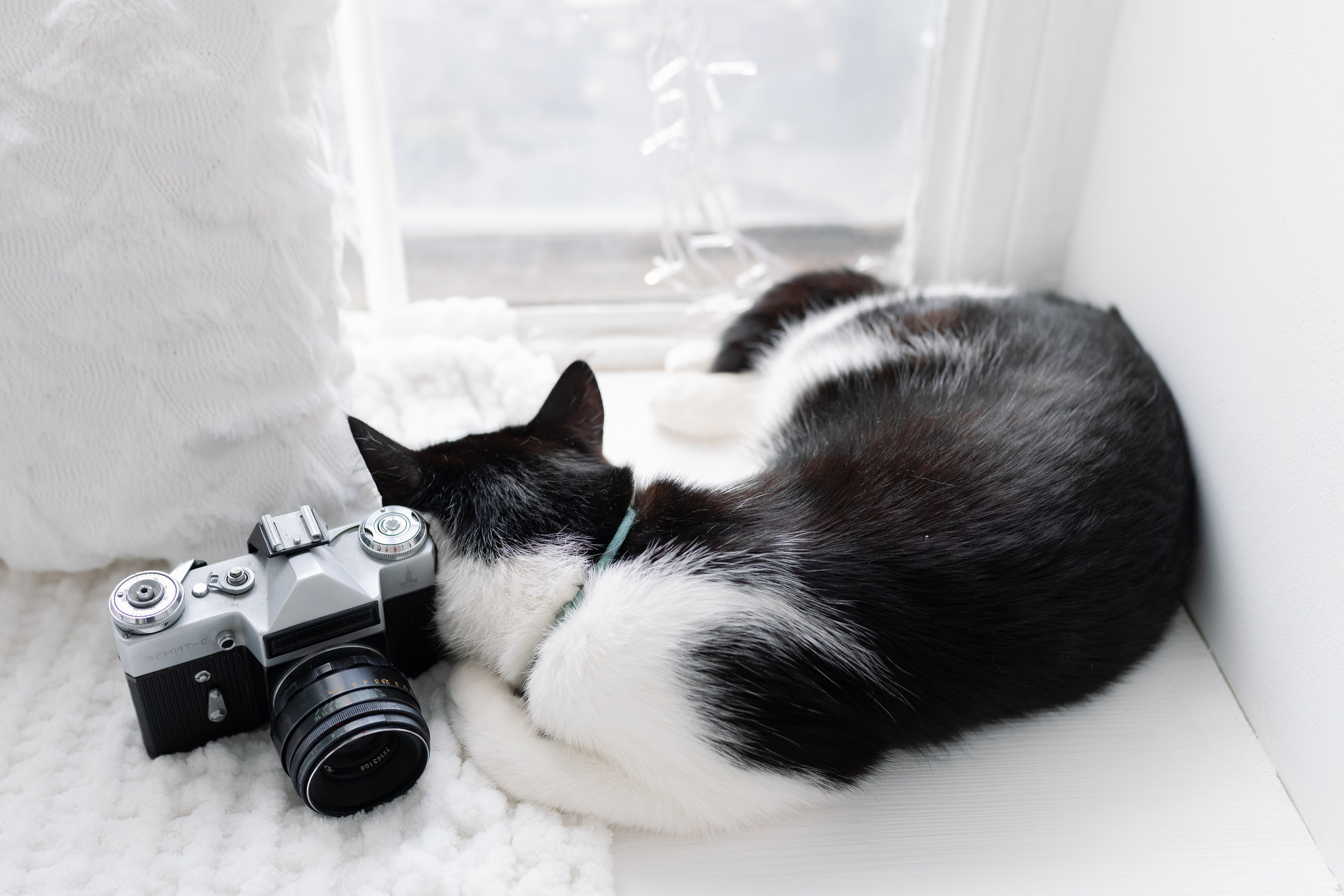 Семейная новогодняя съемка. Свадебный фотограф в Минске/Беларуси Сергей Спиридонов