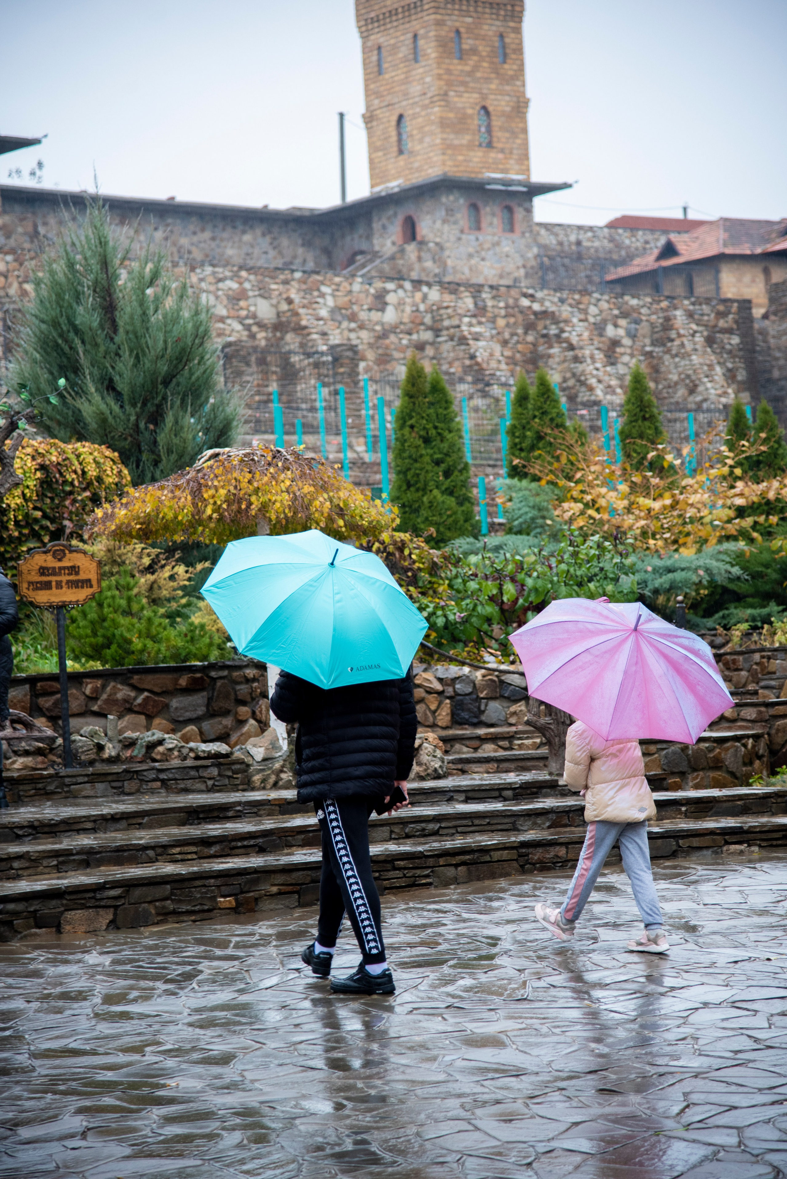 Парк Лога 22. Фотограф Вадим Хмурковский