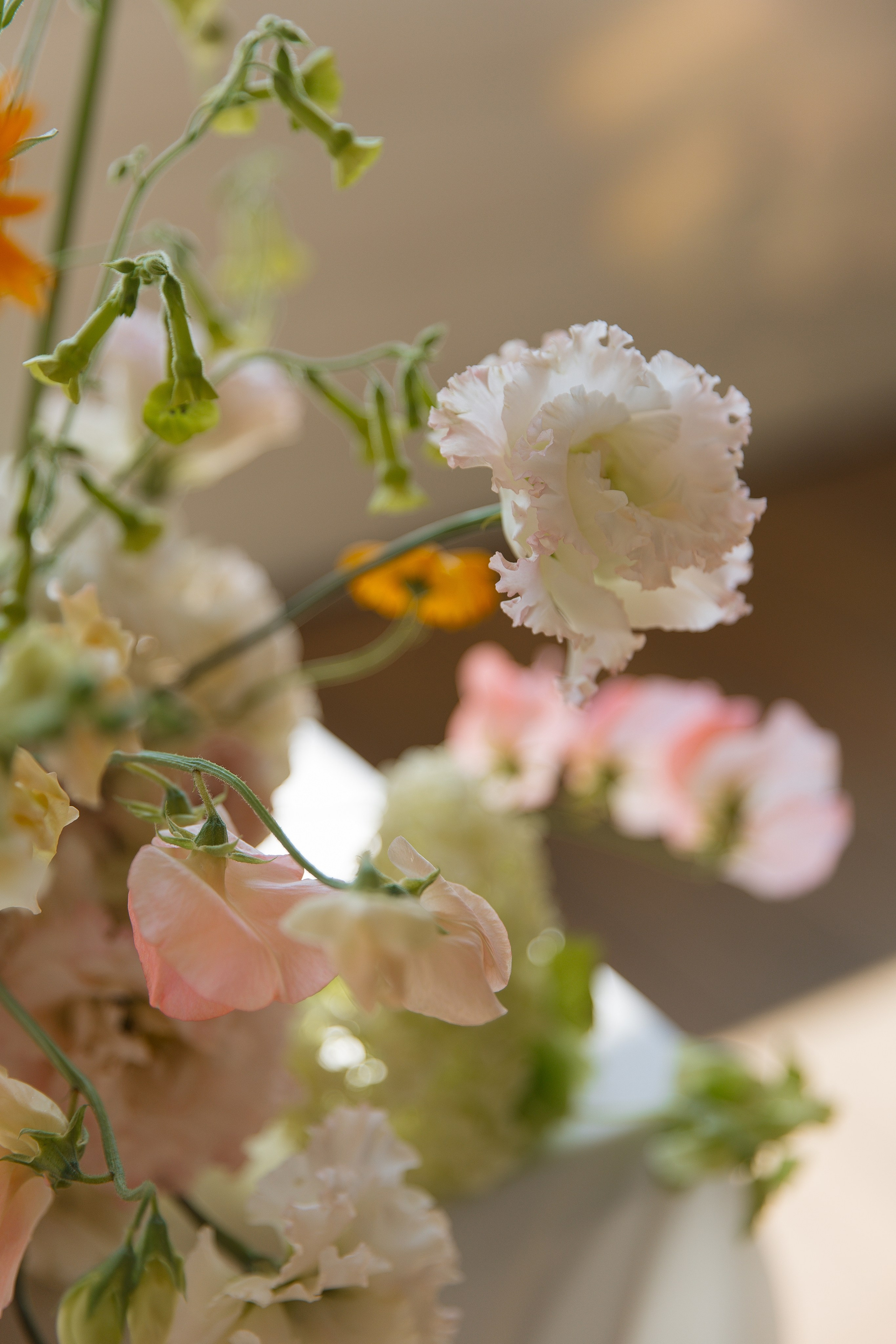 Катя | Сережа