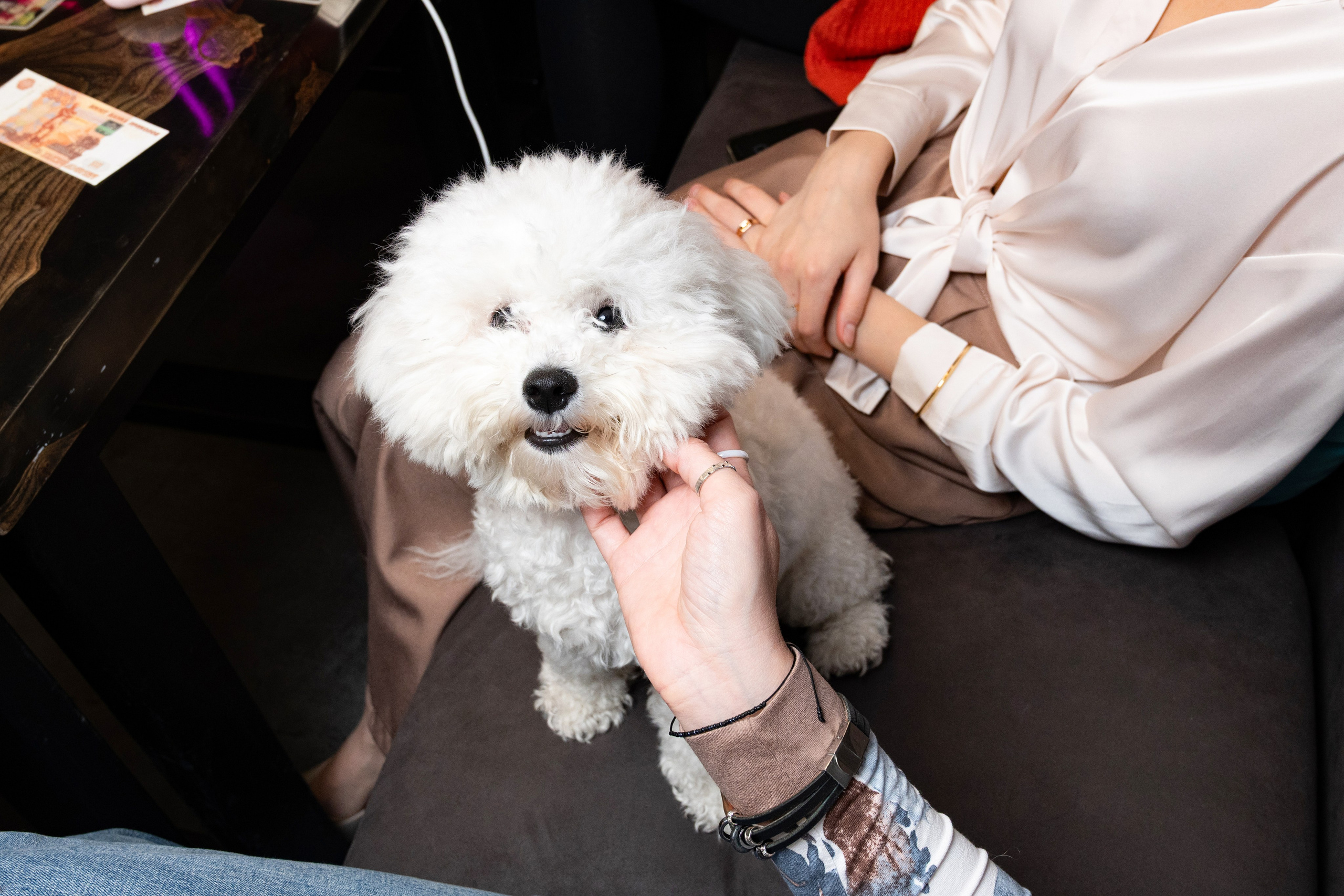 Репортаж на турнире по игре Мафия в «Мятном еноте». Фотограф мероприятий в Москве