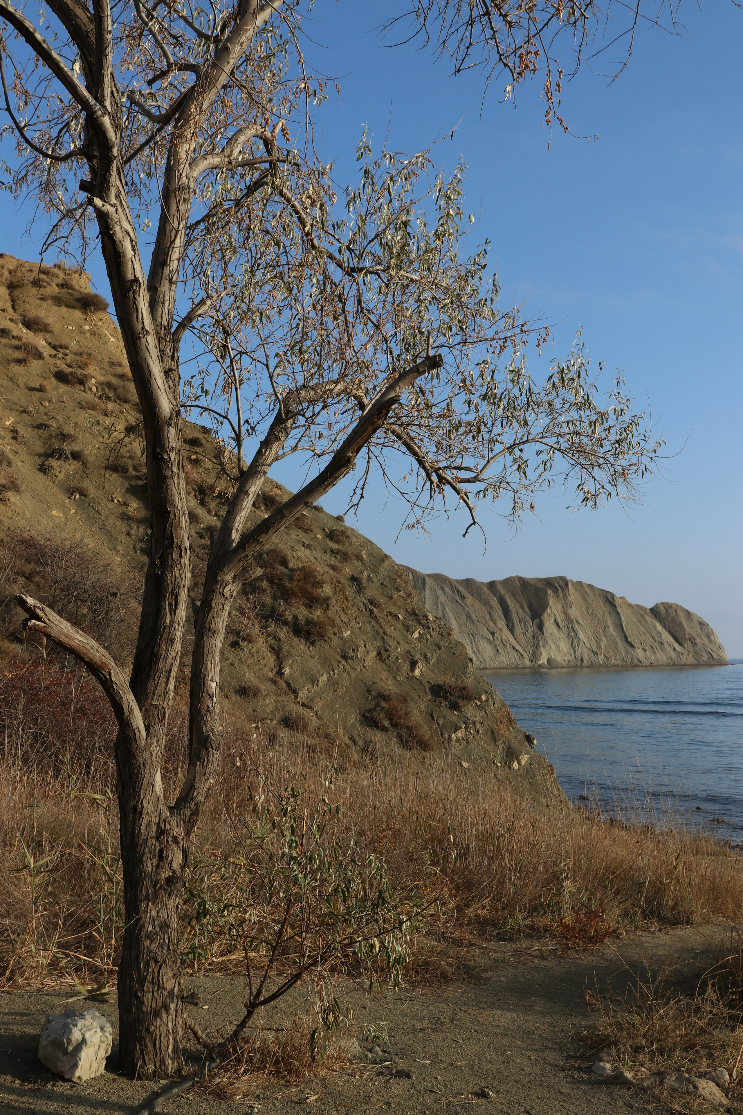 Крым. ЮБК (Гурзуф, Судак и их окрестности). Ноябрь 2023. Путешественник-фотограф из Санкт-Петербурга Татьяна Свистулина
