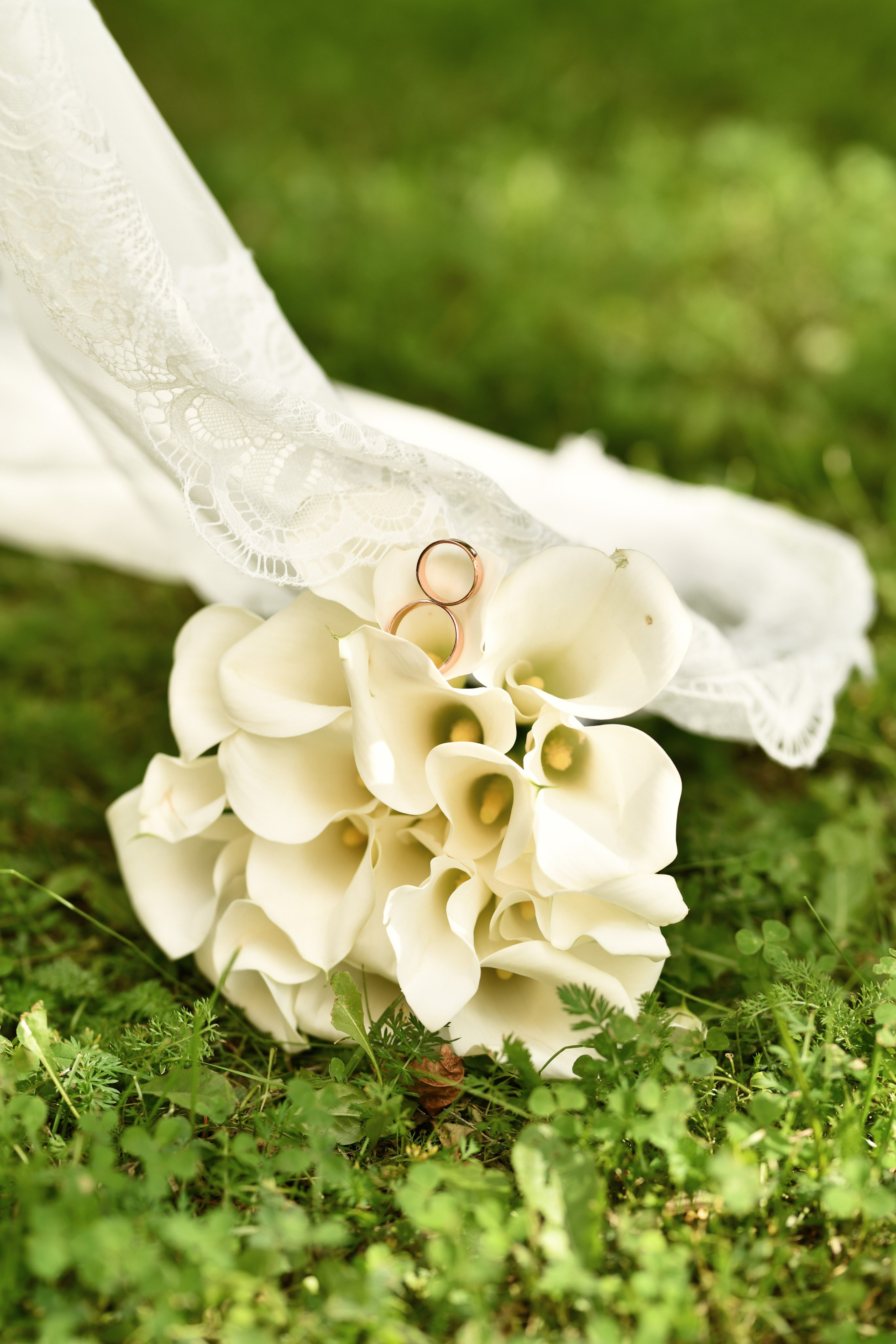 Свадебные фотосессии. Семейный и свадебный фотограф в Ярославле Леся Новикова