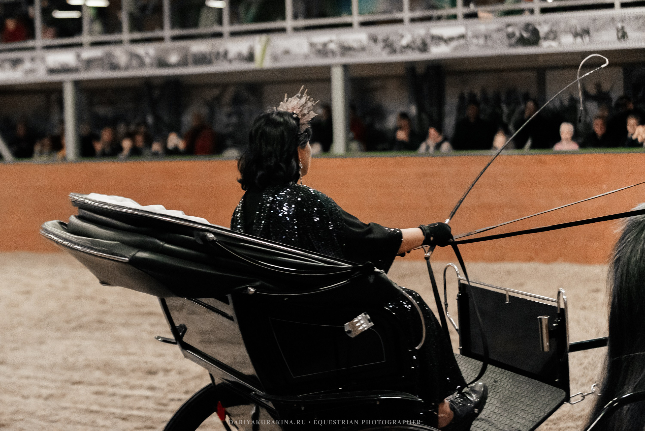 Конное представление «Дыхание Звёзд». Конный фотограф Куракина Дарья • Фотосессии с лошадьми