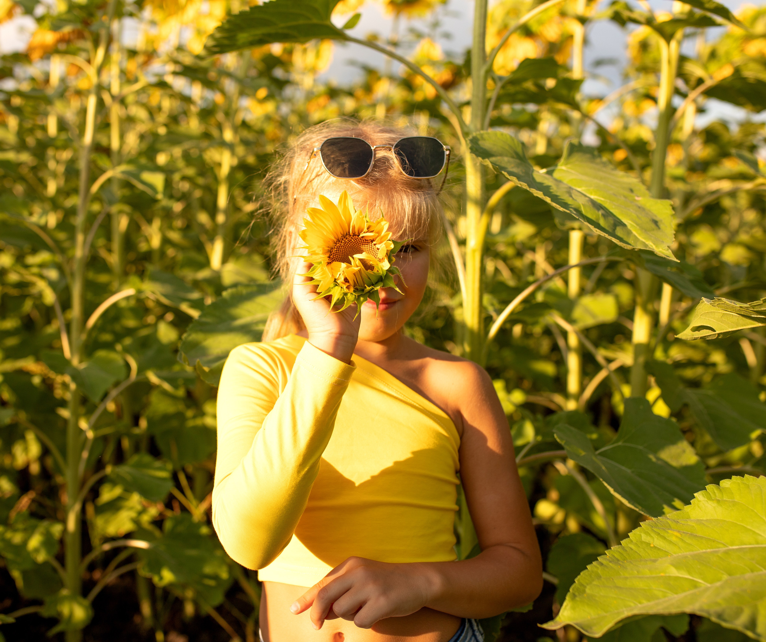 В подсолнухах однажды летом. Ольга Смирнова юрист, фотограф