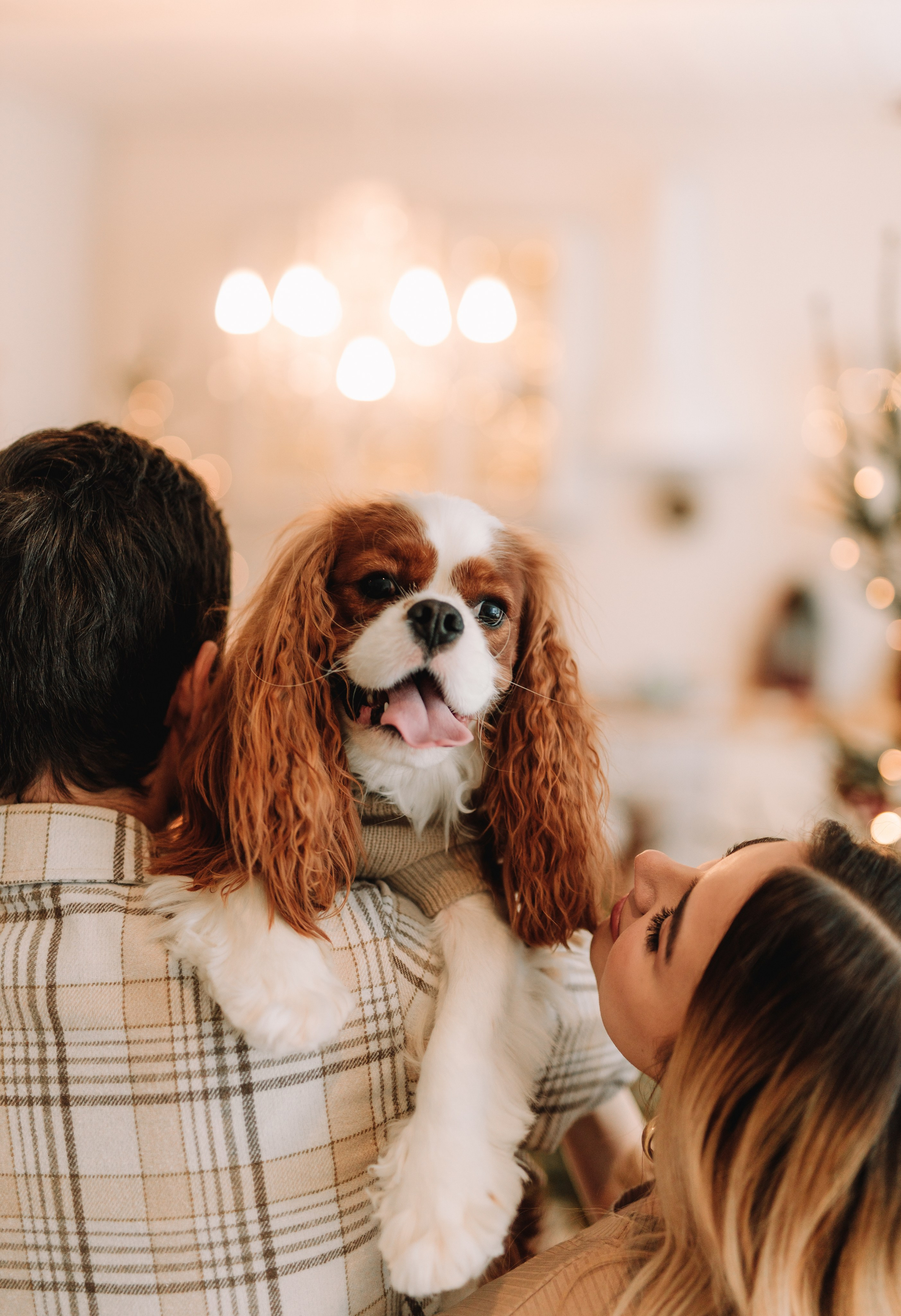 Женя Вика и Дэнни. Свадебный фотограф СПб Евгения Орлова