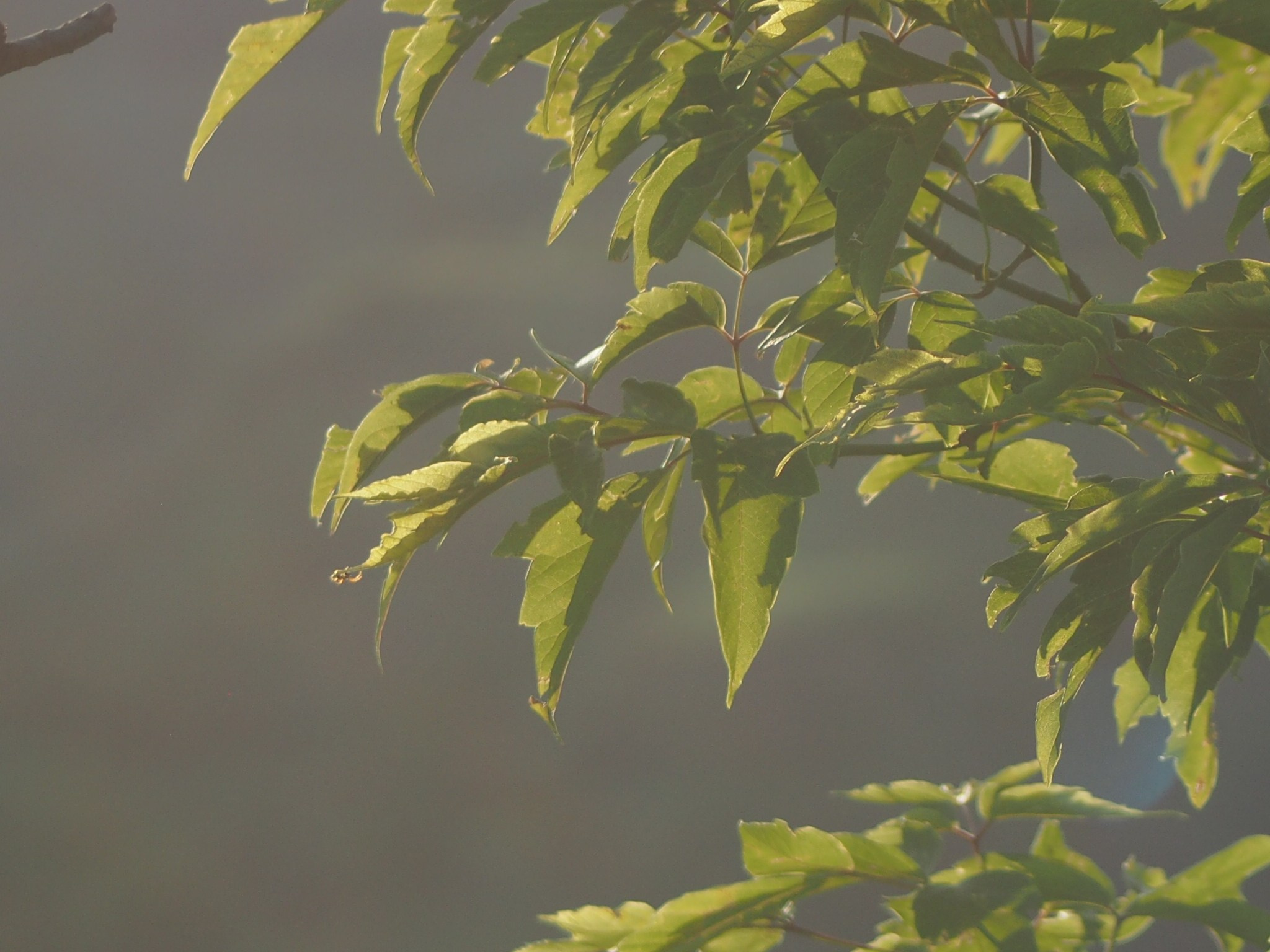 Флора и фауна. Смотри, красота!