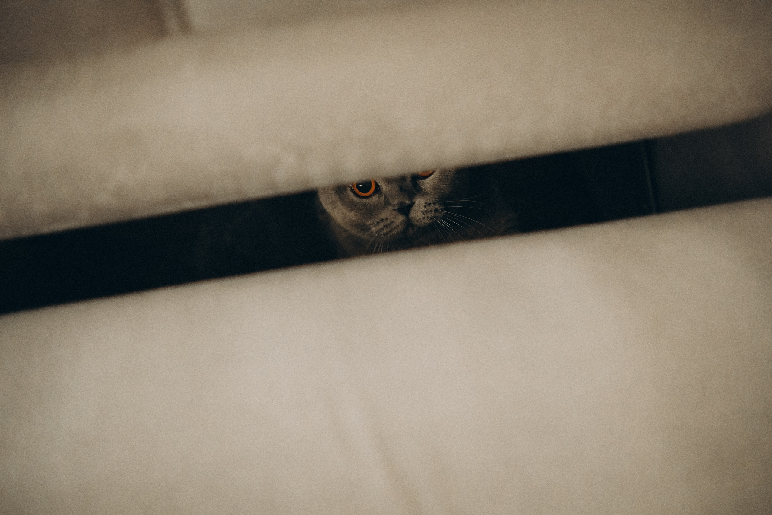 Дана&Вася&Ника. Phdkvmr.ru