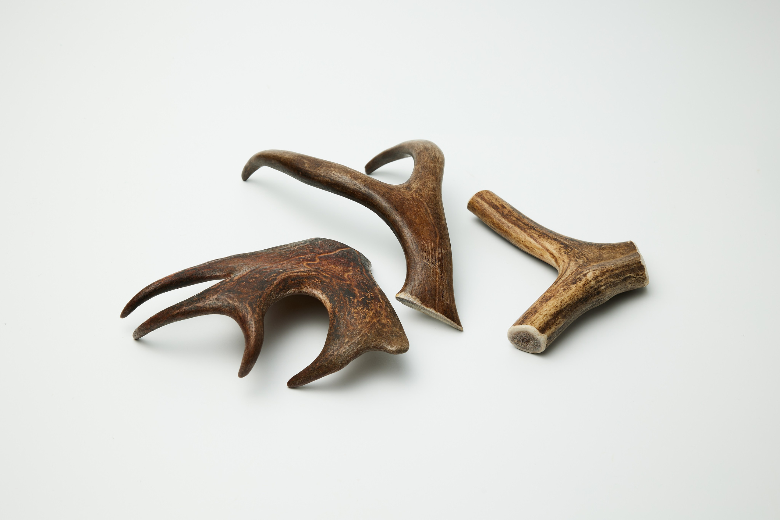 Игрушки для собак. Разножанровый Фотограф в Омске Артём Руднев