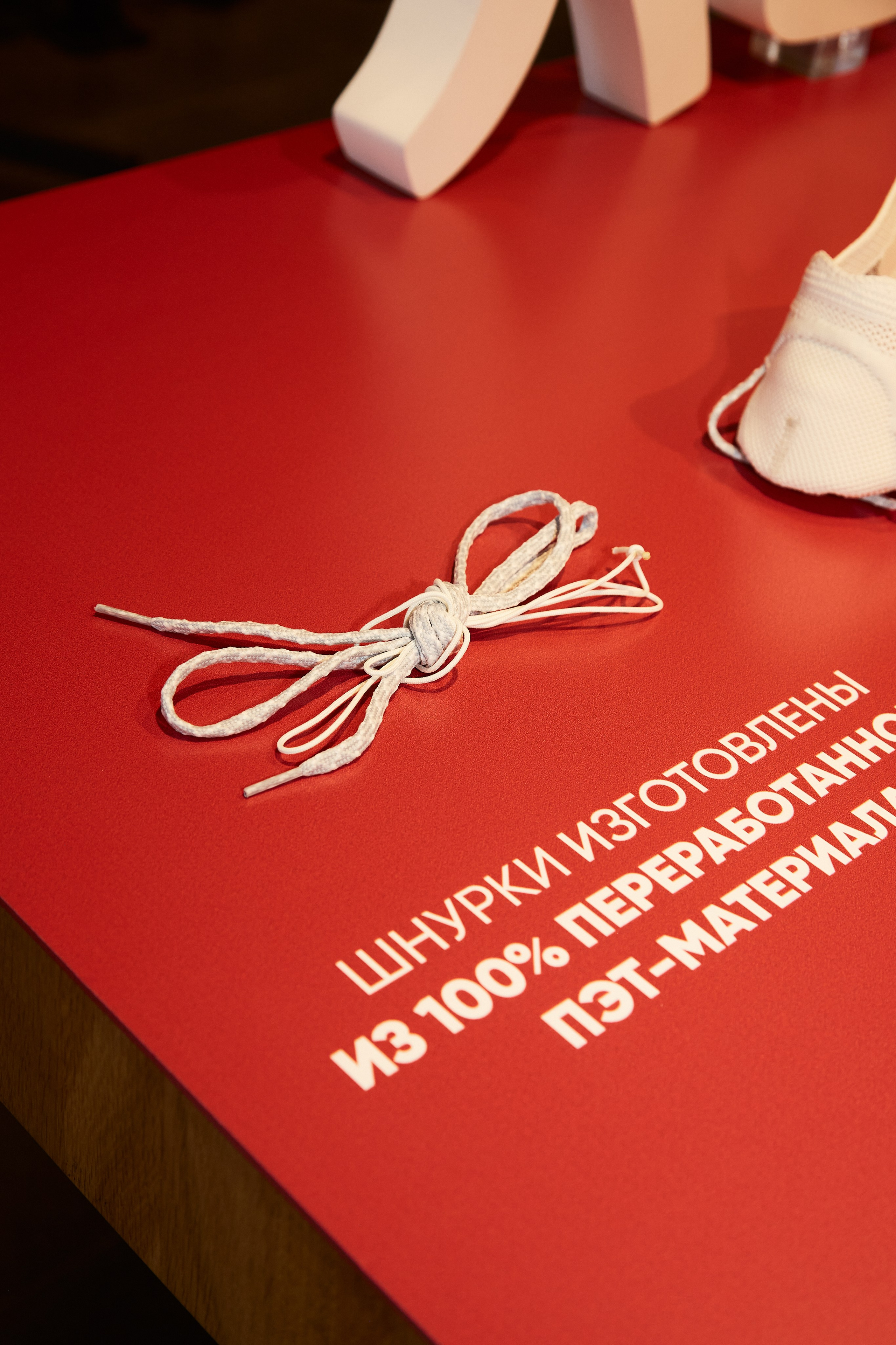 CAMPER. Photographer Daria Ilkevich