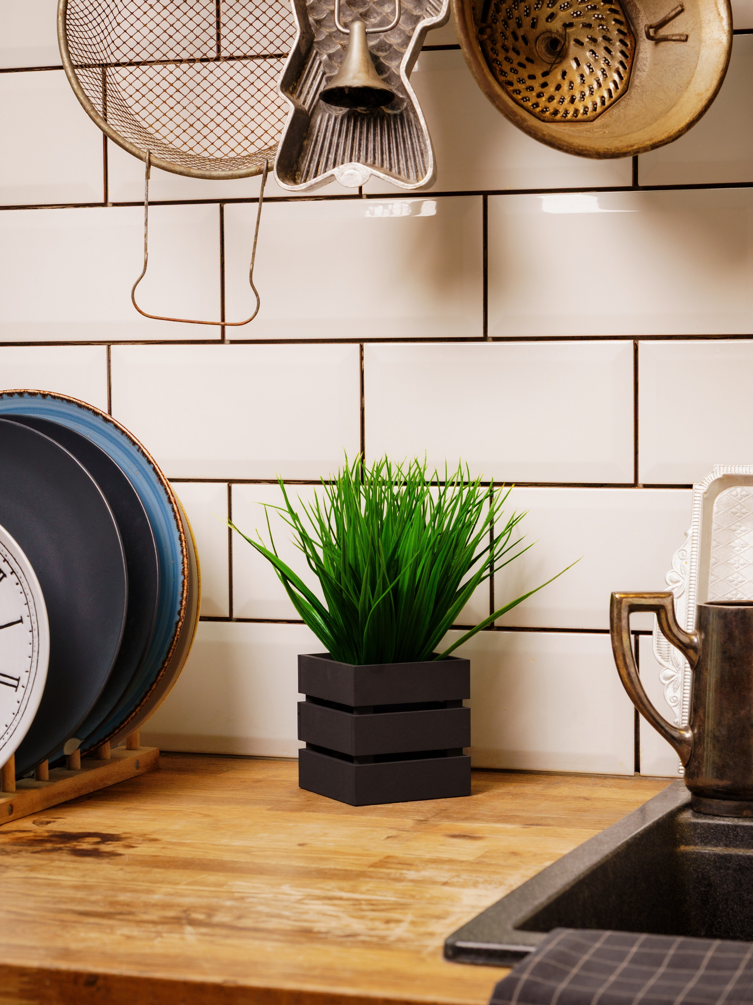 Кашпо. Макаров Сергей|Creamlebot Фотограф города Ростов-на-Дону