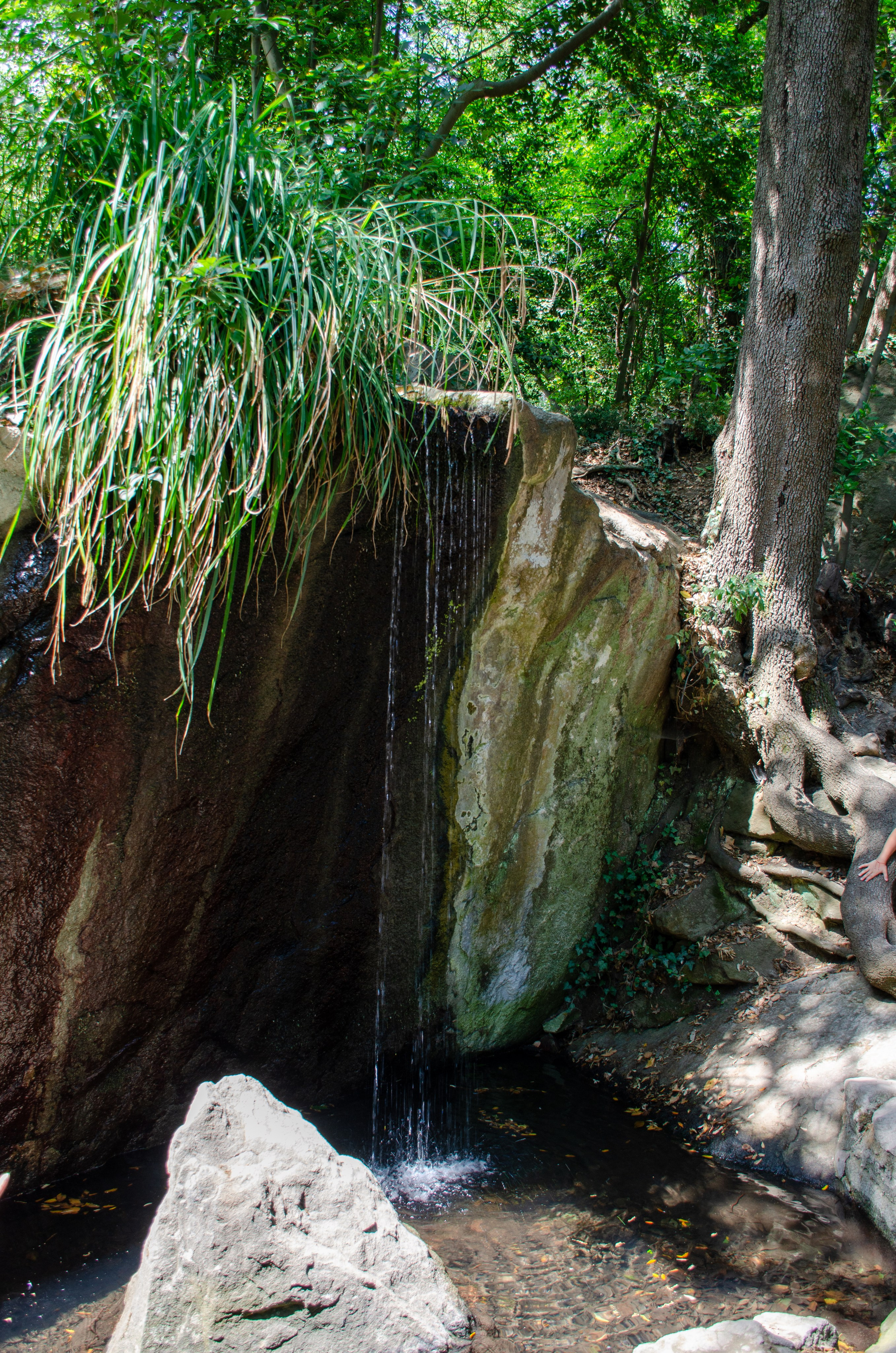 Путешествия. Фотограф и ретушер Самохвалова Ольга