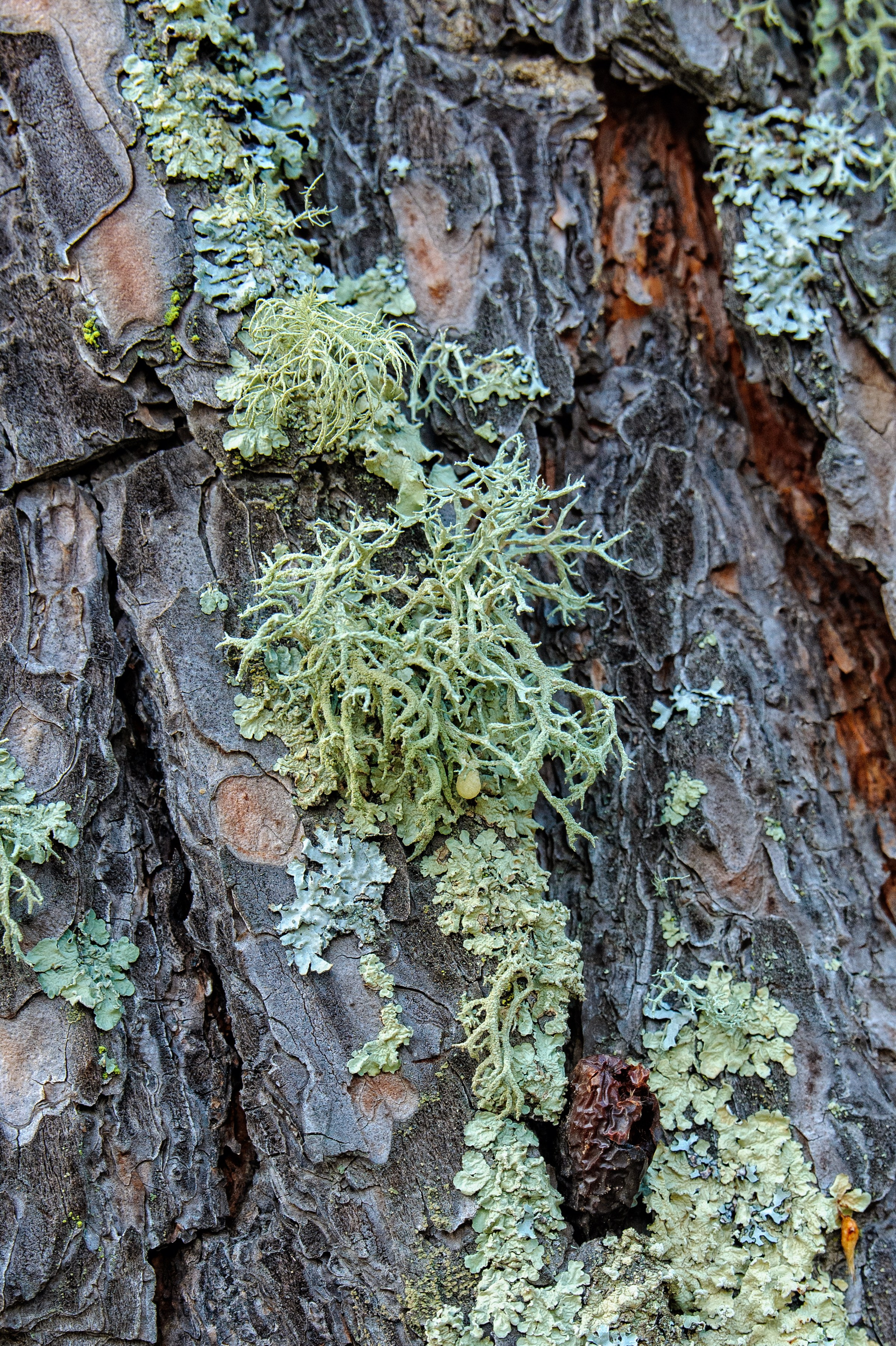 Осень. FotoGraf