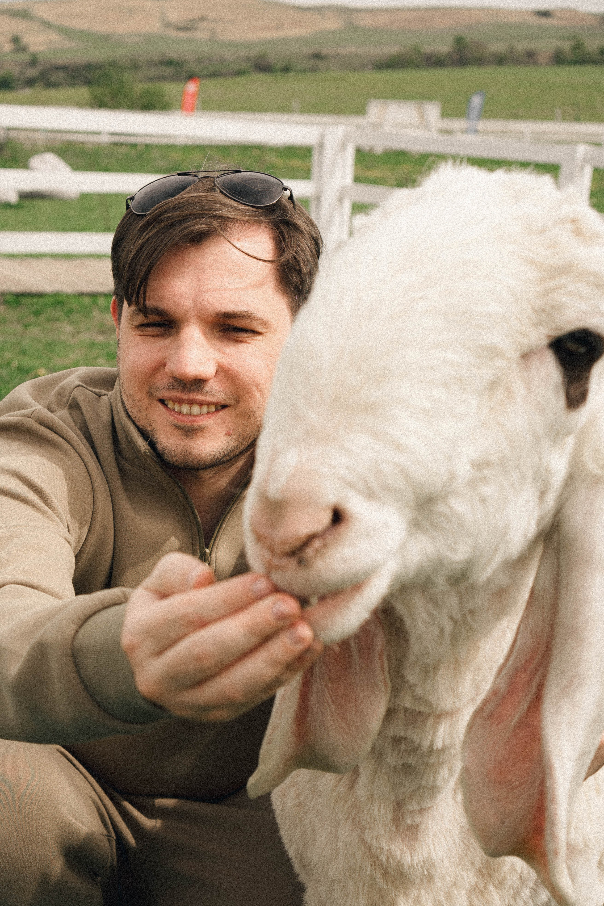Ферма Альпак. Профессиональный фотограф, Санкт-Петербург — Виктория Богомолова