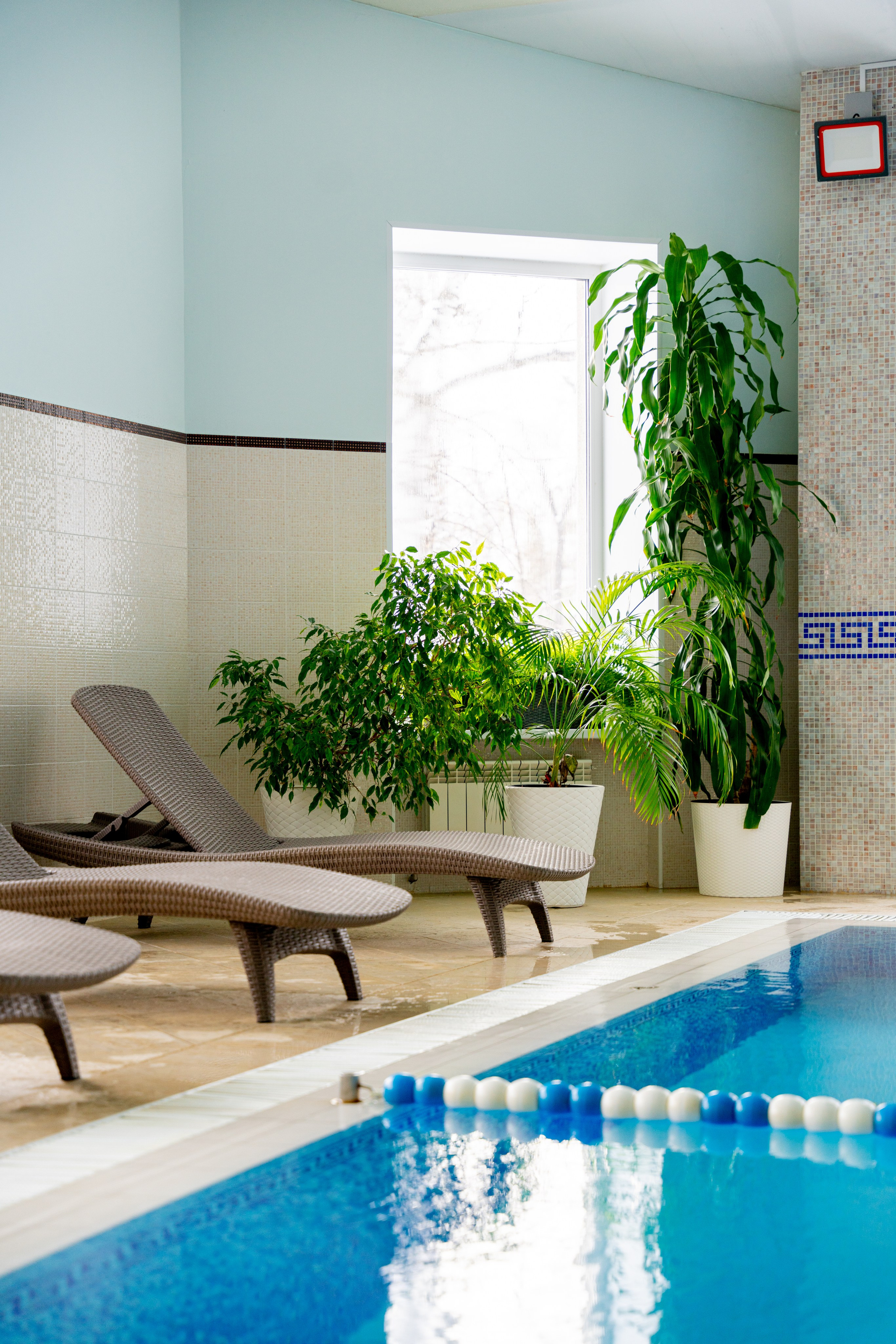 ФИТНЕС-ЦЕНТР ВИДГОФ И БЕРЕЗКА. Фотограф на любое мероприятие