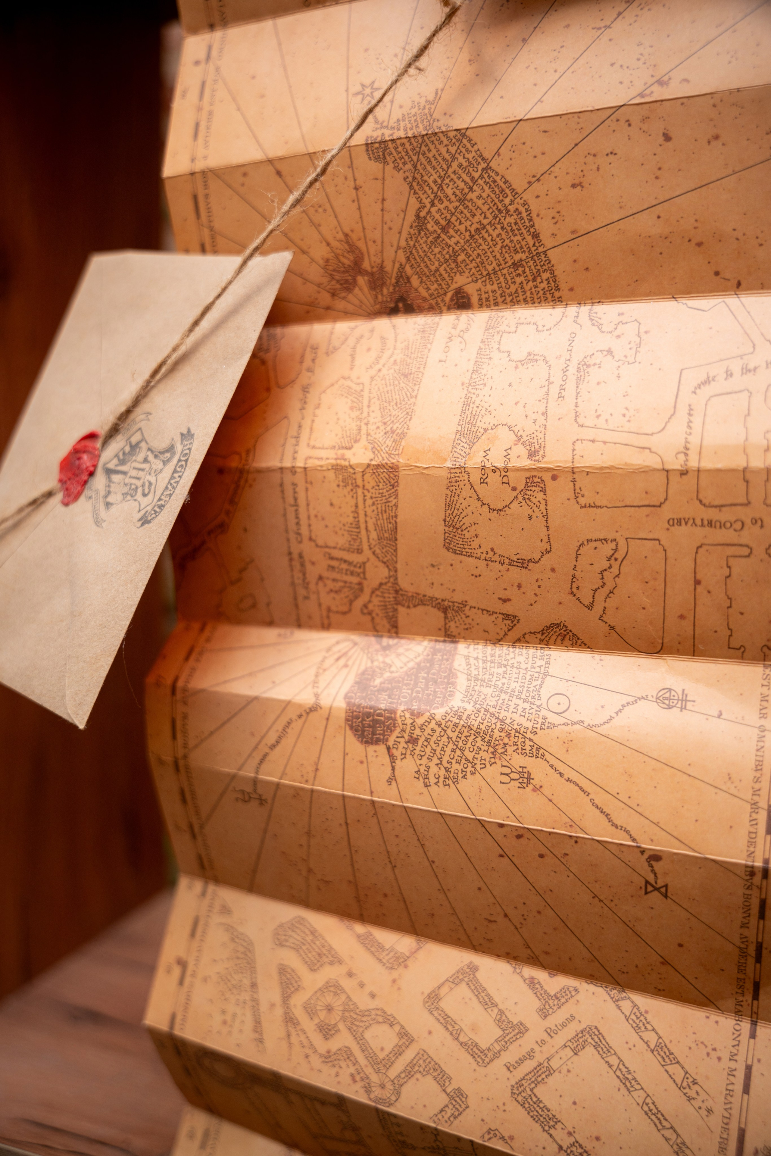 ДР МАШИ. Фотограф на любое мероприятие