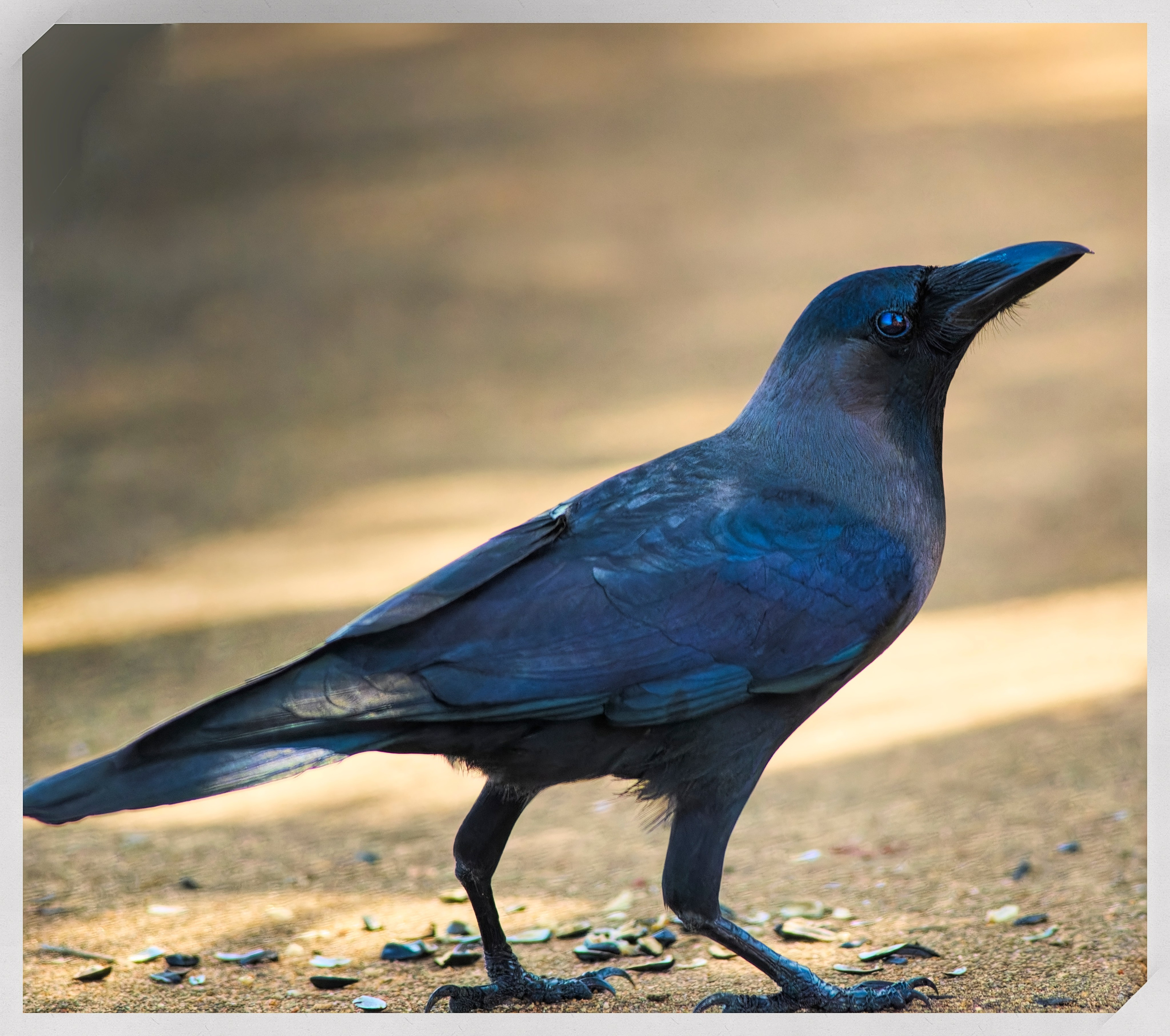 ПРИРОДА. Слепки времени. Фотографии природы и событий. Москва. Сергей Аллагулов
