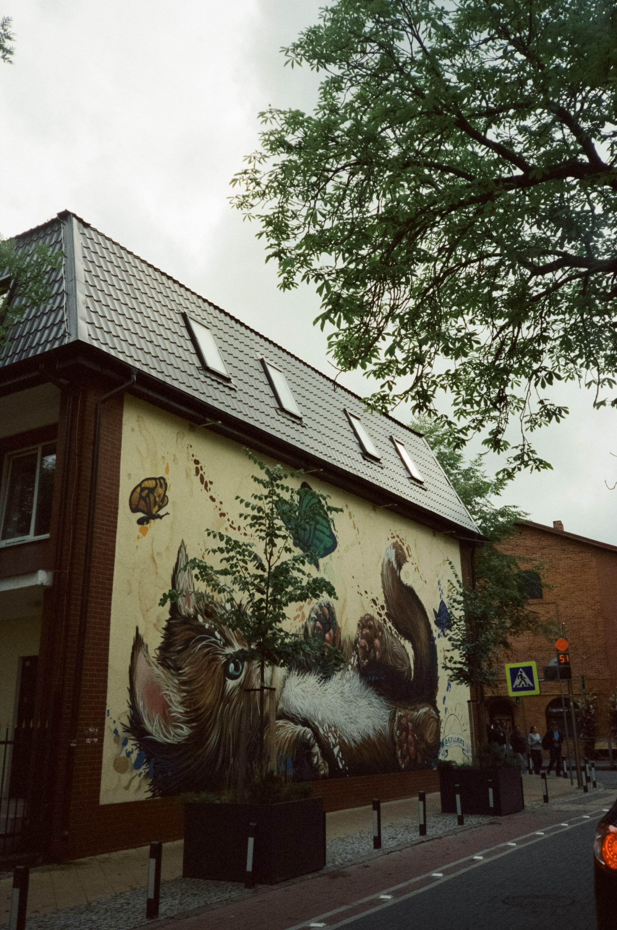 День в Зеленоградске. Суровая Балтика и пряничный кото-городок. Фотограф-документалист Мария Осокина