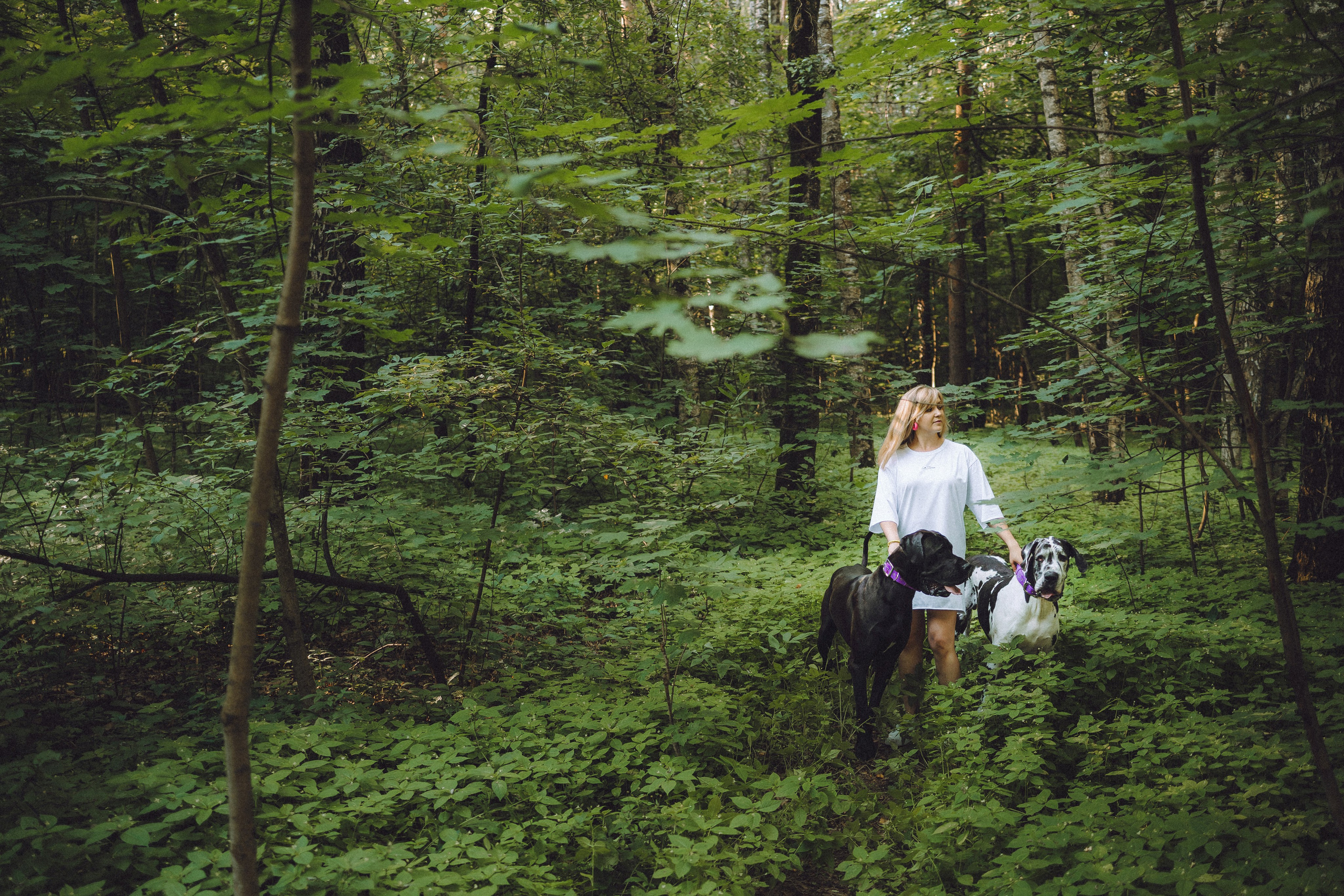 Катя, Андрей, Гектор, Ричи, Тортик и Трой