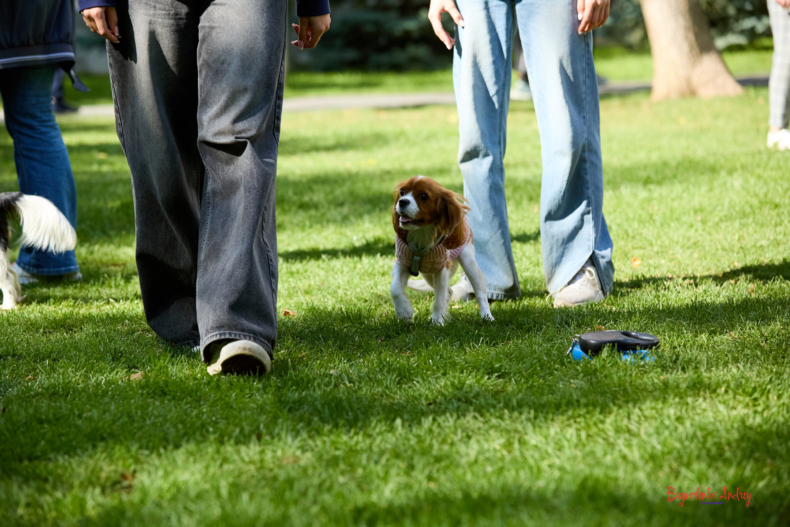 Фотопрогулка с кавалерами. Buyvolenko Andrey