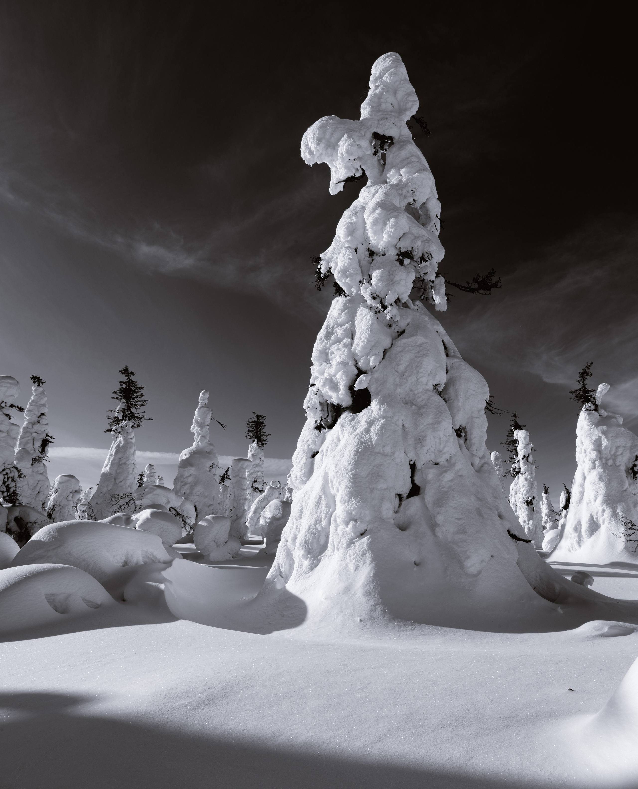 Зима. Северные Ночи