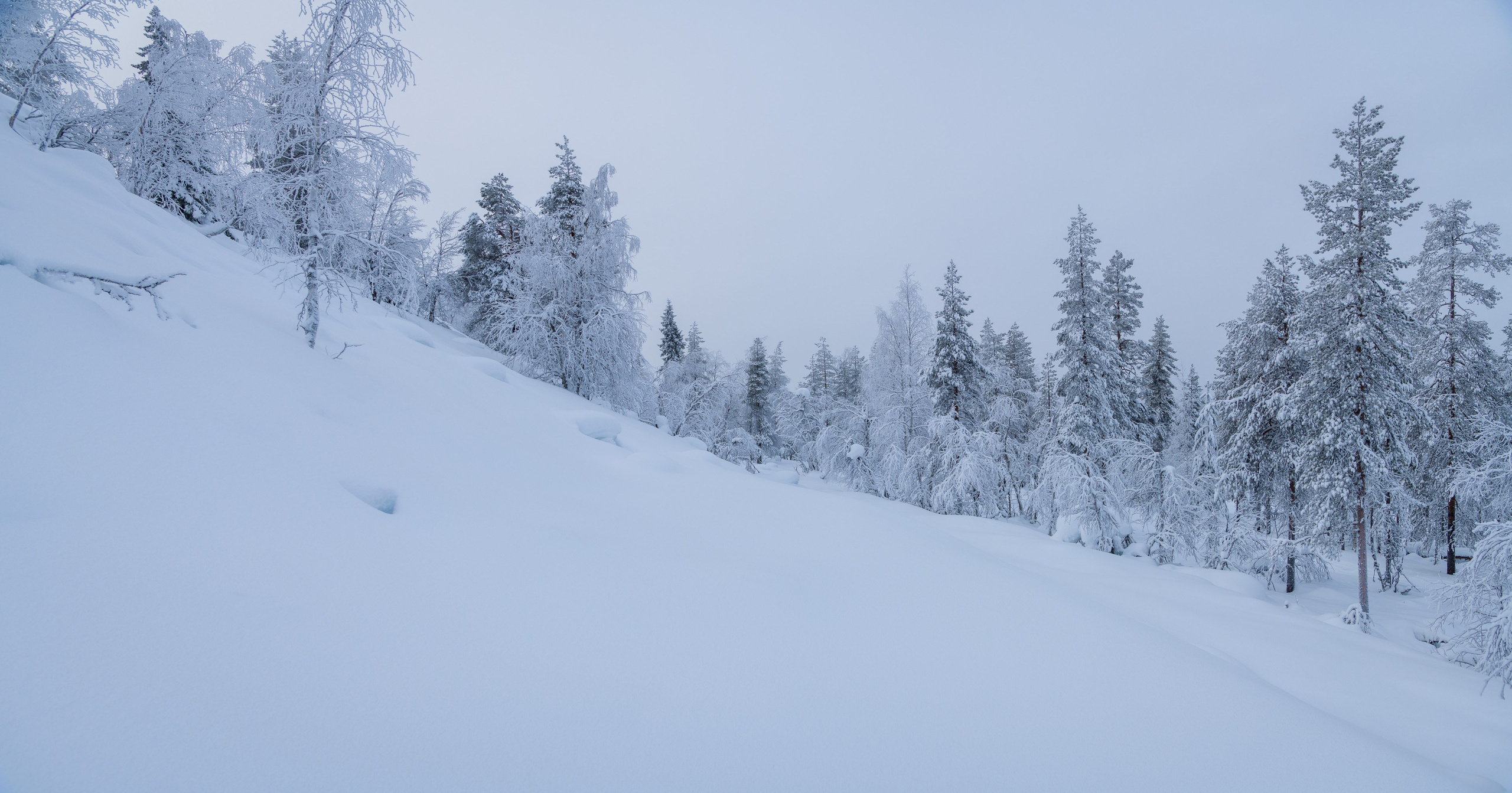 Зима. Северные Ночи