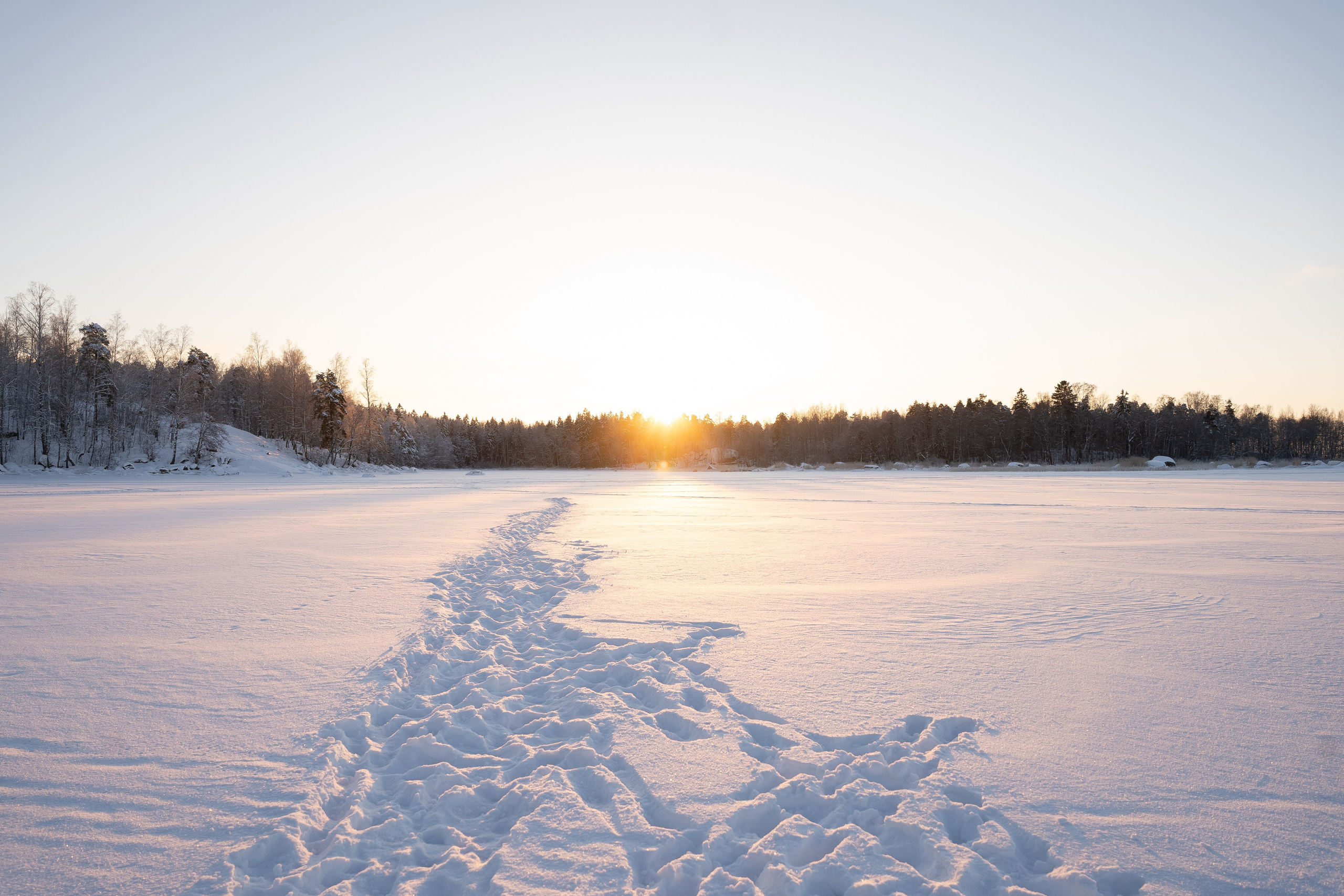 Морозный день. Фотограф в Ульяновске Александра Григоровских