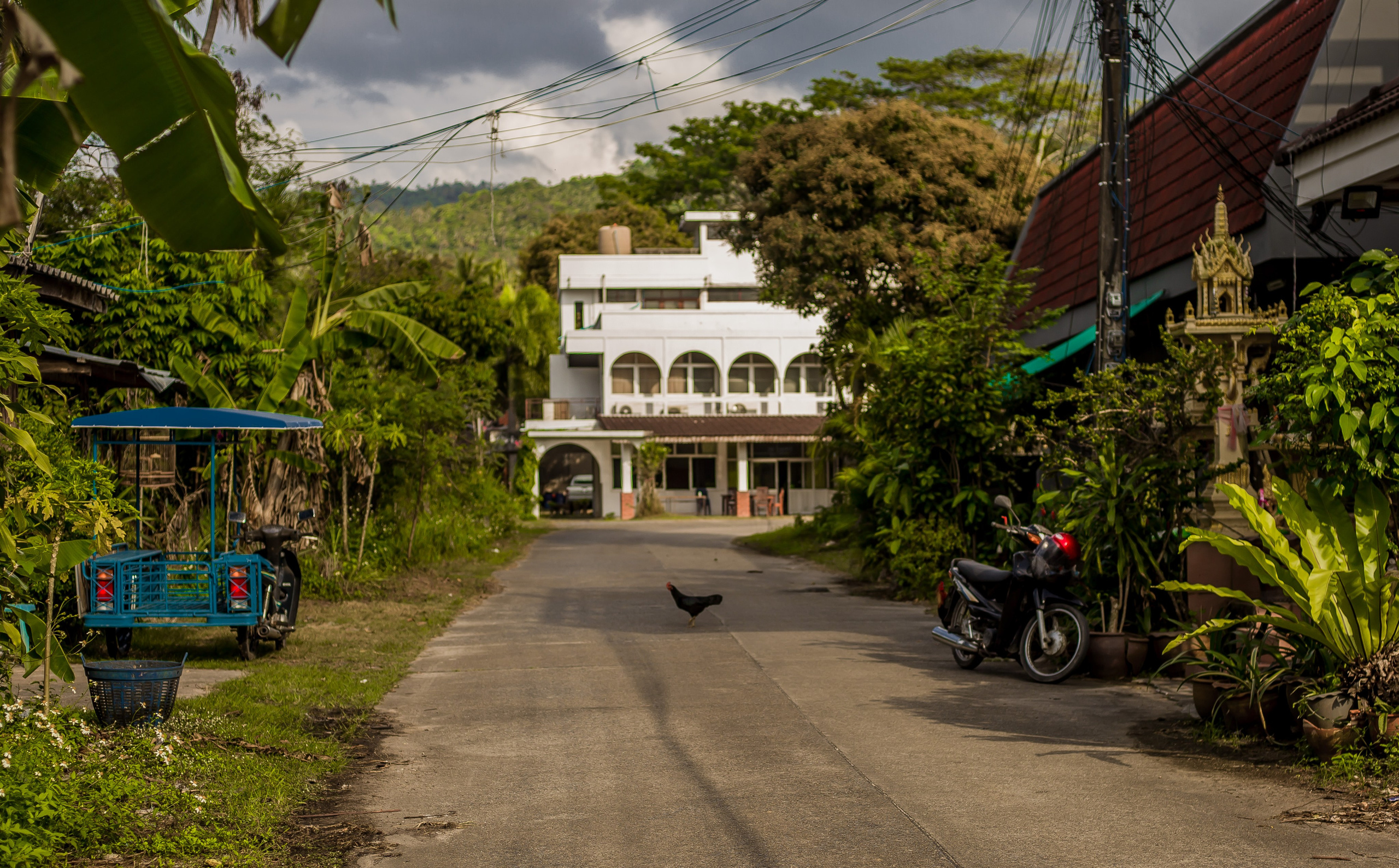 Thailand 2023, Samui. Art Photographer