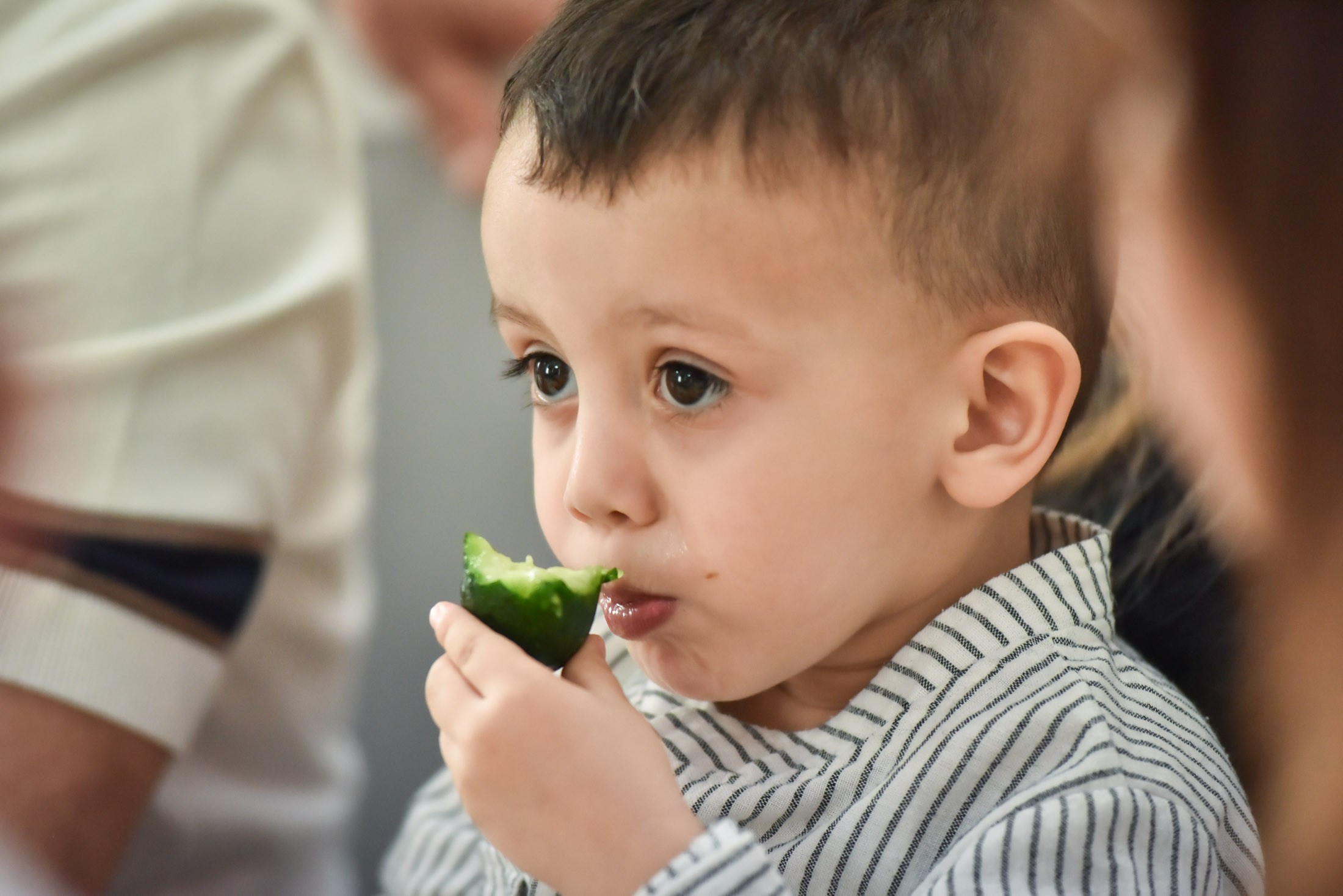 Ладо 30 лет. Репортажный и свадебный фотограф в Липецке Иван Первойкин