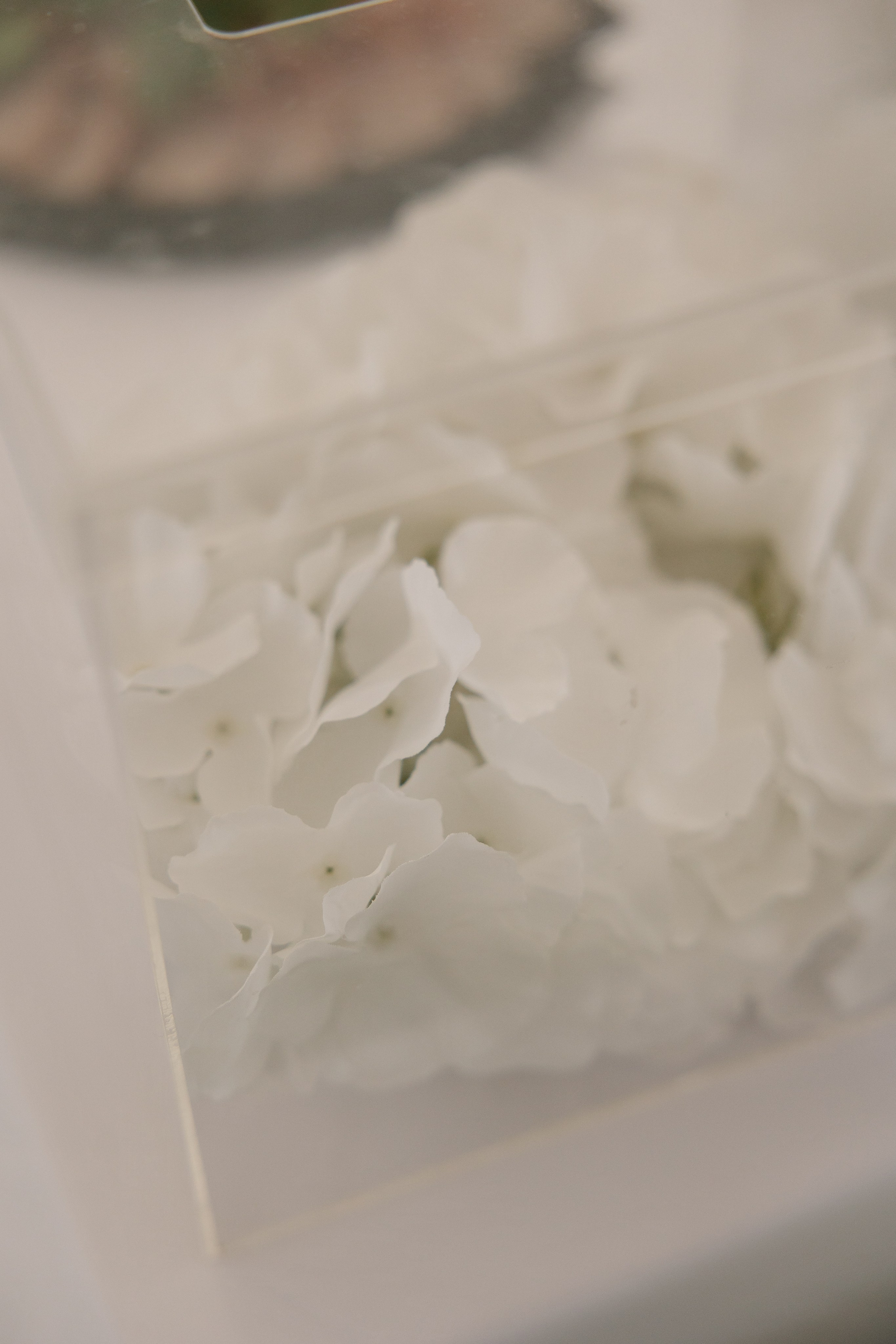 Тимур и Алия. Свадебный и семейный фотограф в Набережных Челнах и Казани