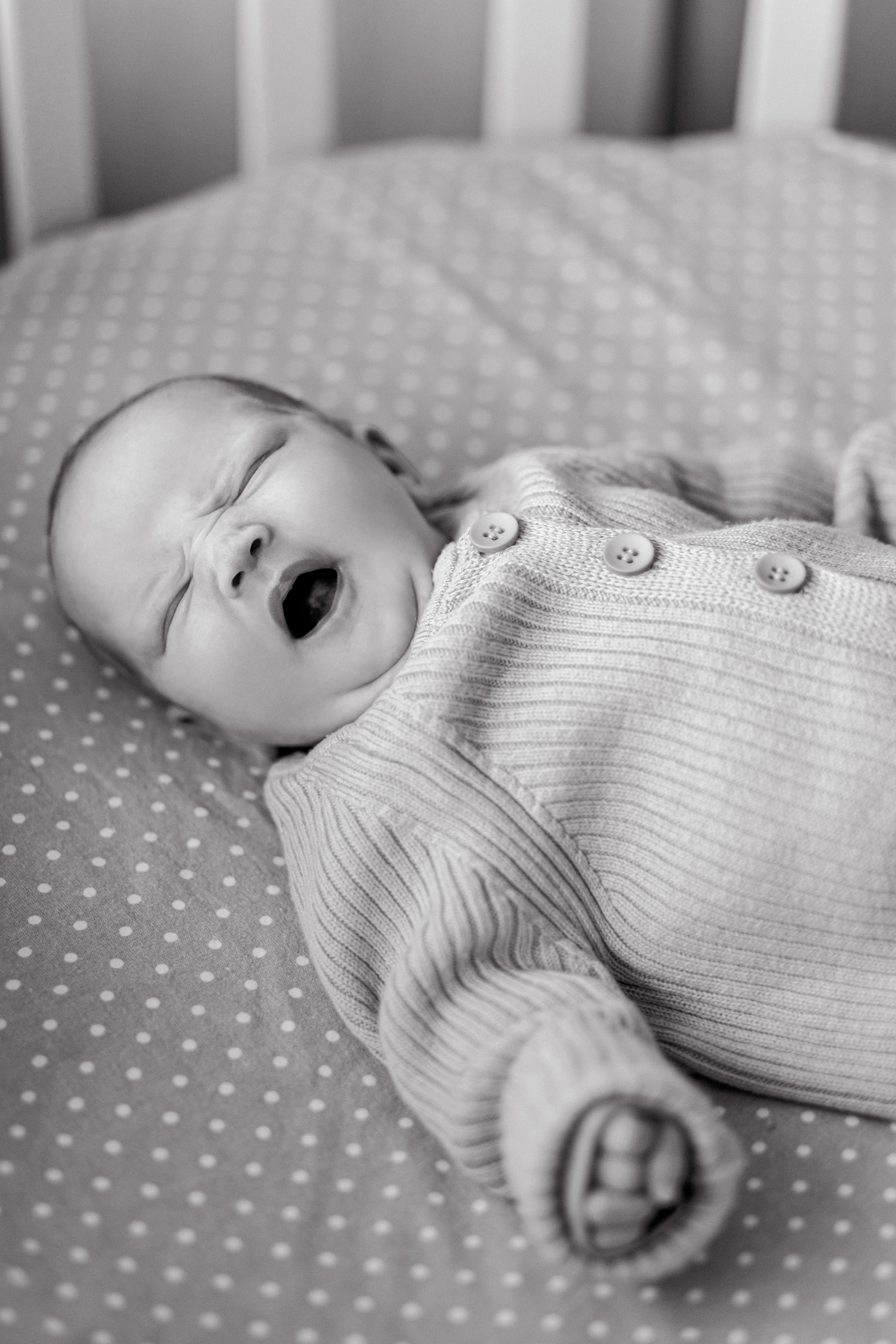 Миша Юля Лев и Алиса. Семейный и детский фотограф в Мурманске Карина Березина