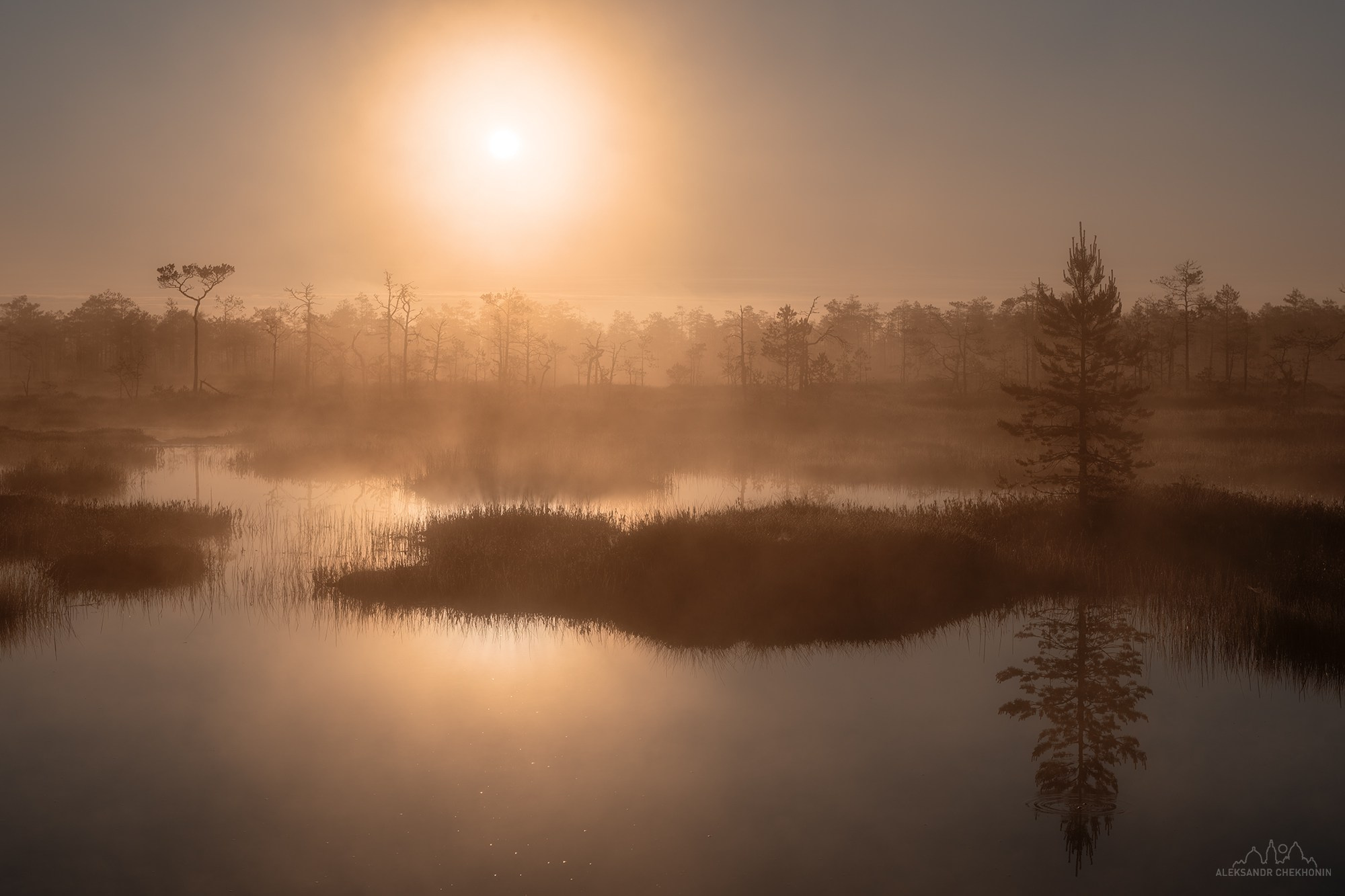 Рассвет на болоте. Пейзажный фотограф Александр Чехонин