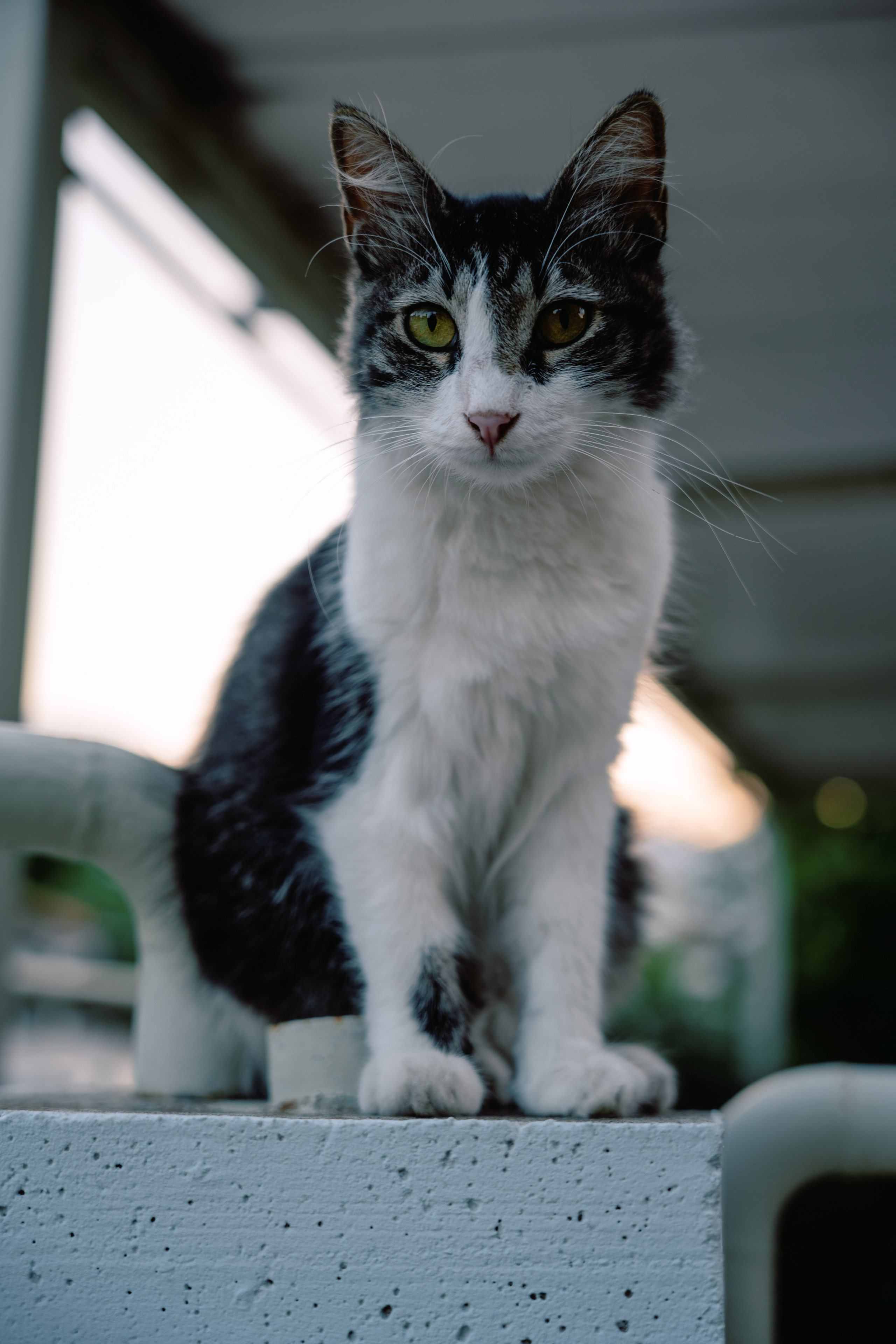 Turkey 2024. Фотограф в Самаре Вадим Грязнов